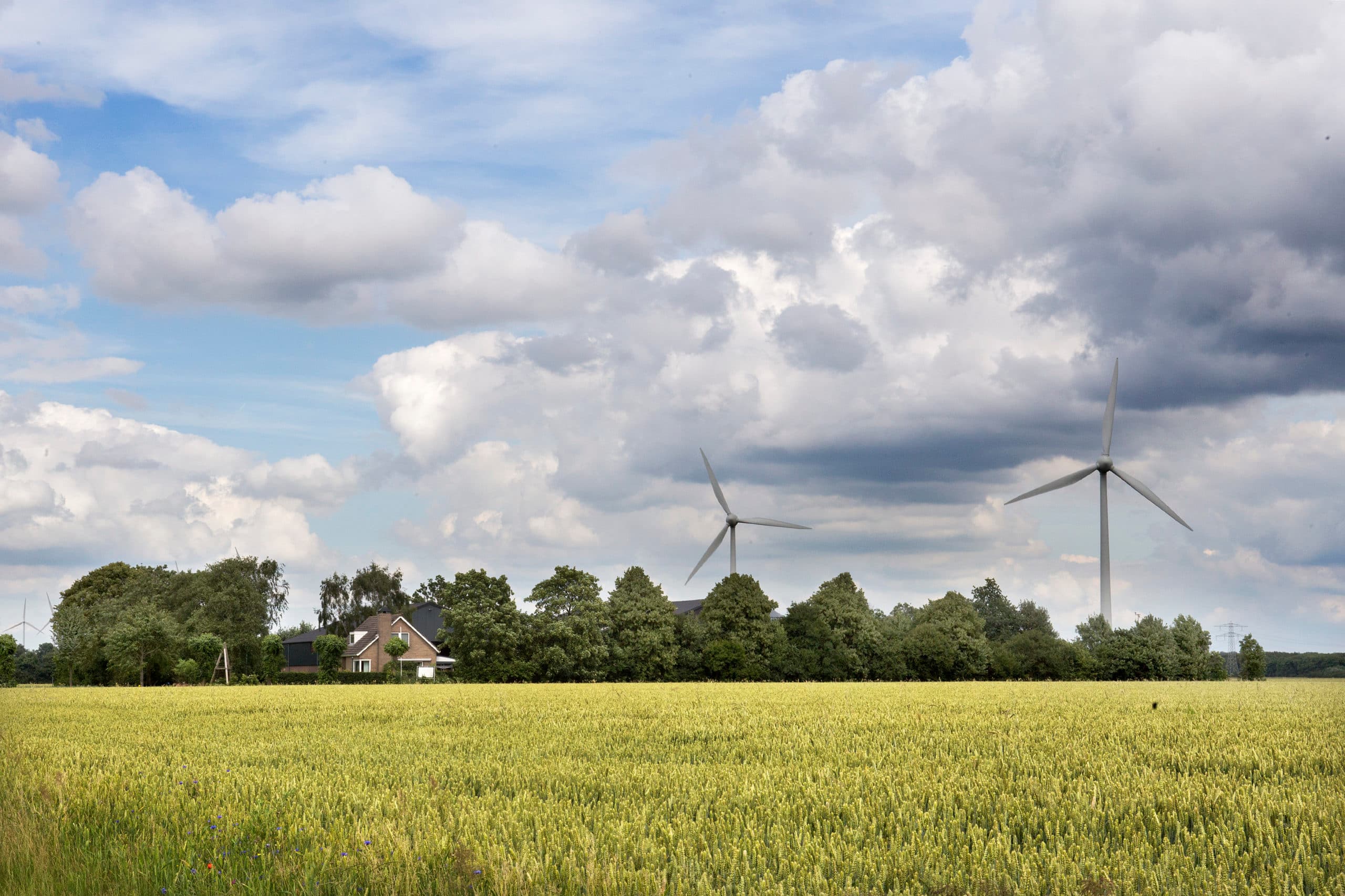 Foto: Ton Kastermans Fotografie