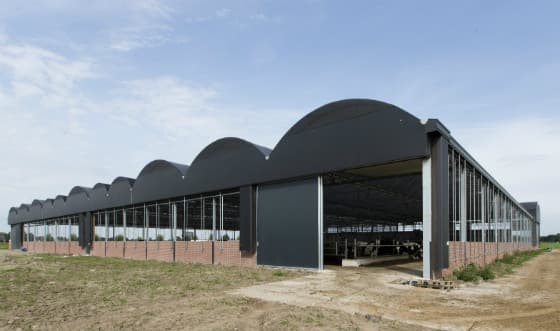 De koeientuin heeft geen pilotstatus en is niet gesubsidieerd. De helft van de stal is voorlopig gevuld met ligboxen, 250 in totaal. "Ik ben trots op wat er nu staat. Maar dit is niet mijn ideaalplaatje", aldus Anke Edens, die redeneert vanuit de behoeftes van de koeien en haar eigen gevoel.