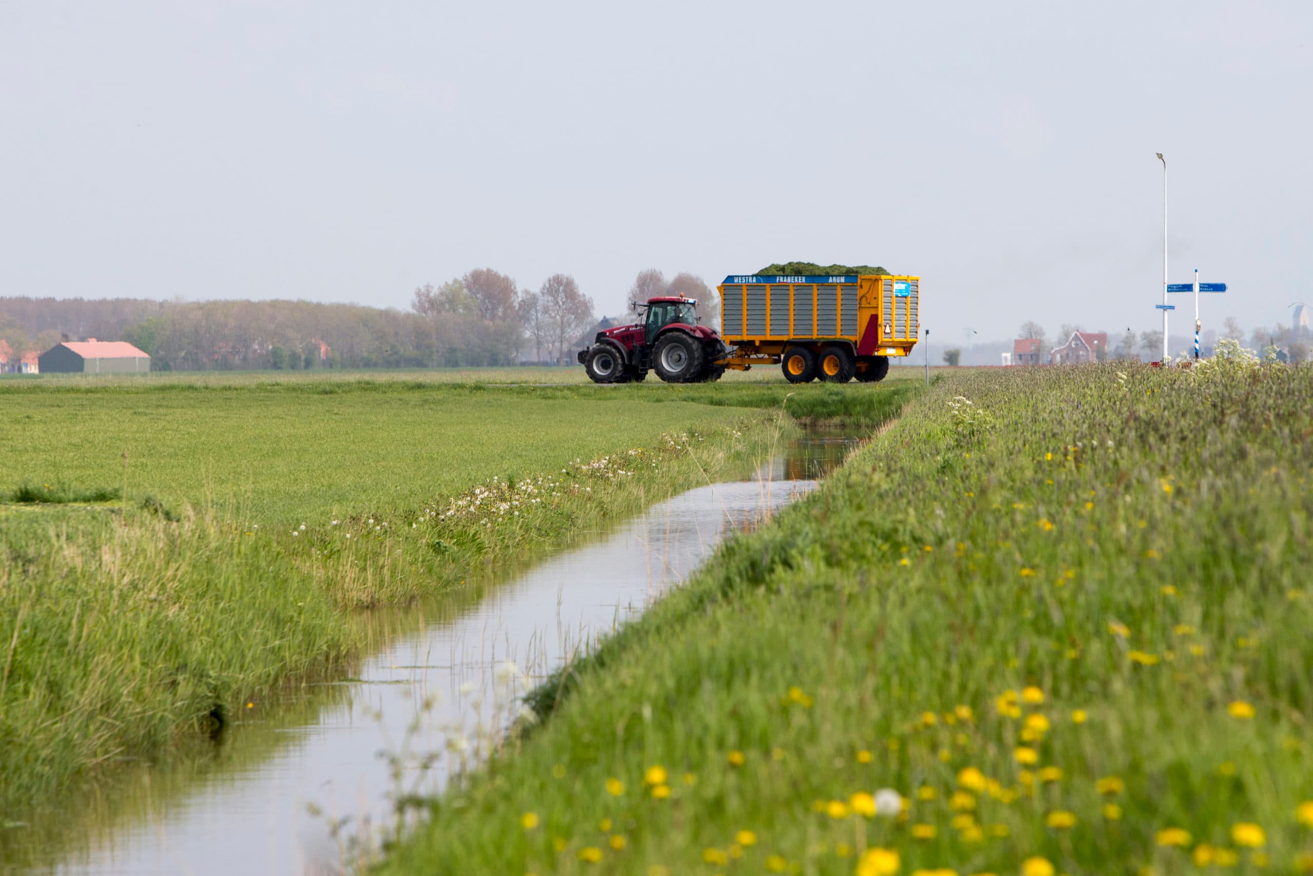 Foto: Anne van der Woude