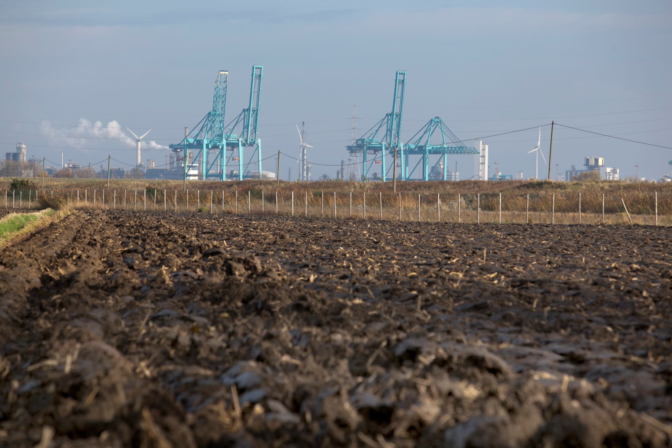 Foto: Roel Dijkstra