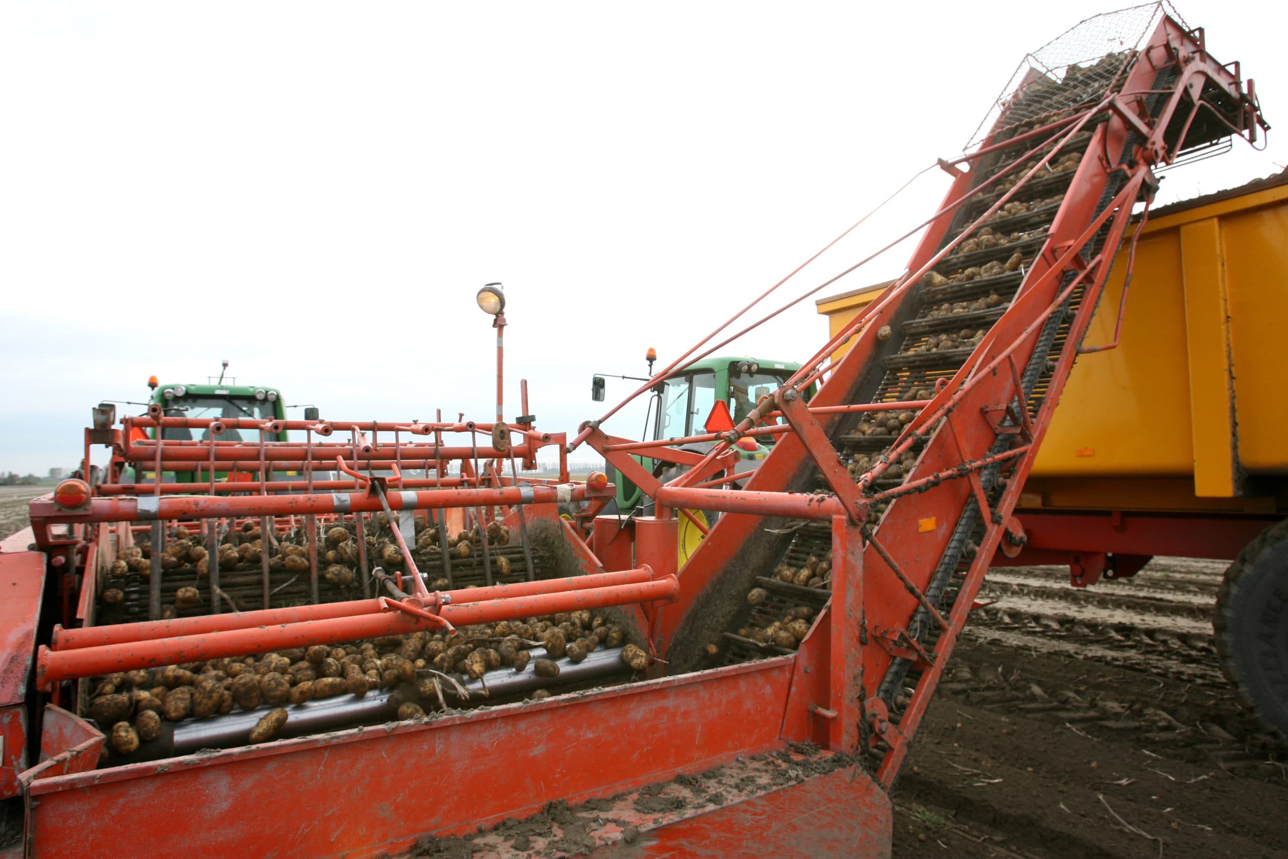 De mechanische belasting bij het rooien heeft veel invloed op stootblauw bij aardappelen.