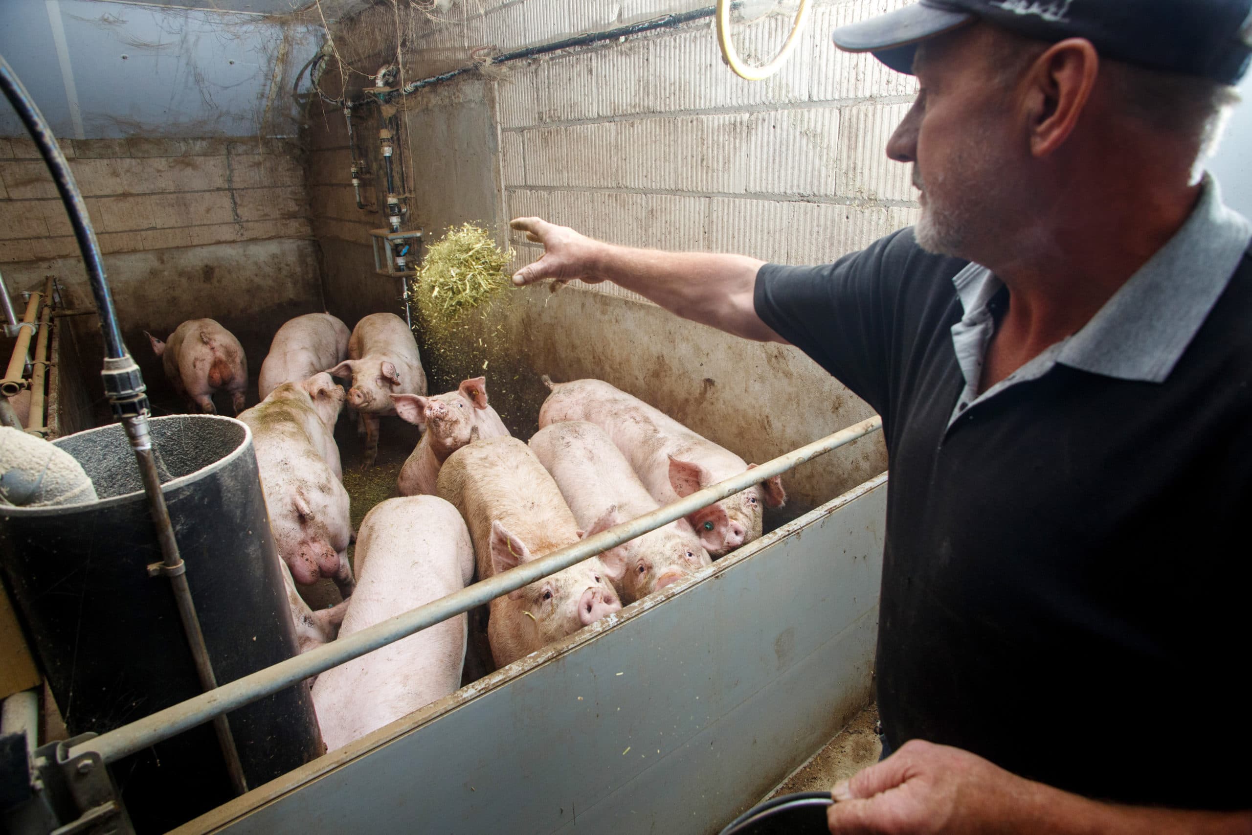 Foto: Herbert Wiggerman