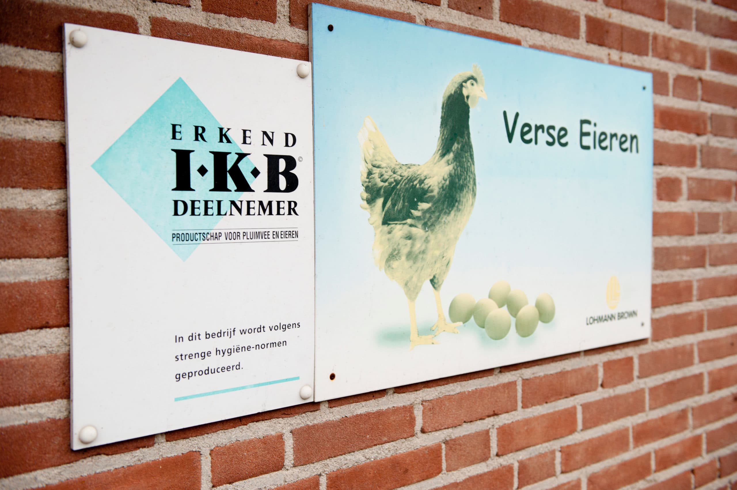 Foto: Bart Nijs