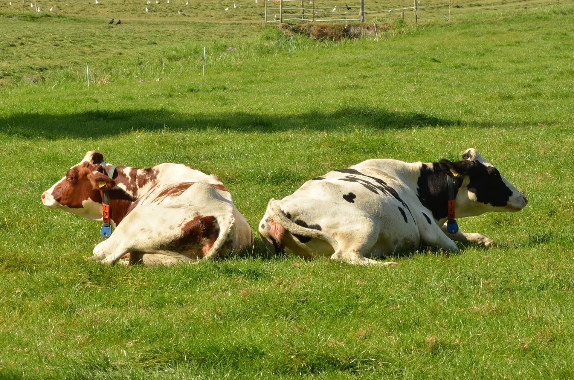 8 tips voor omgaan met schoonmoeders