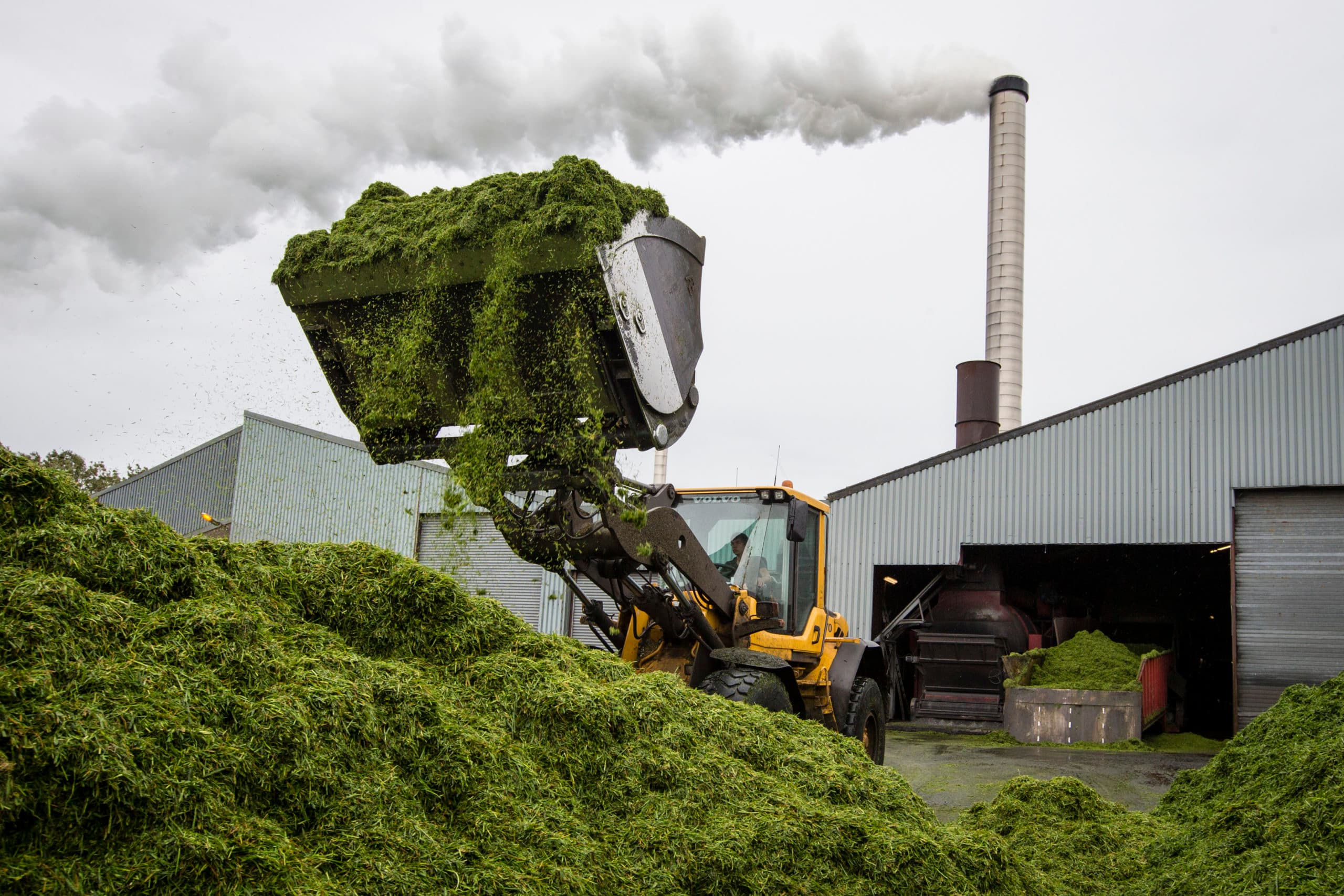 Foto: Anne van der Woude