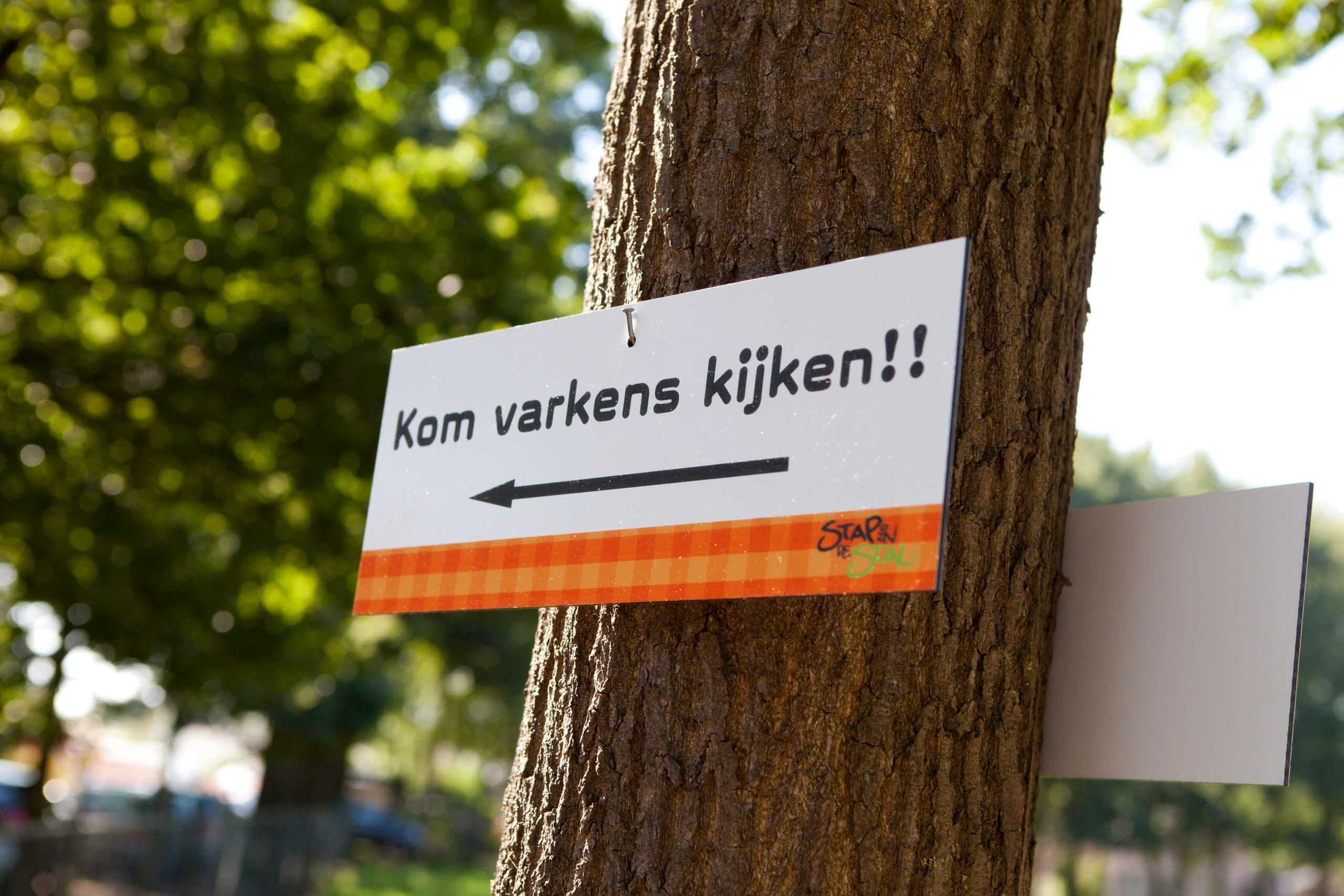 Foto: Bart Nijs
