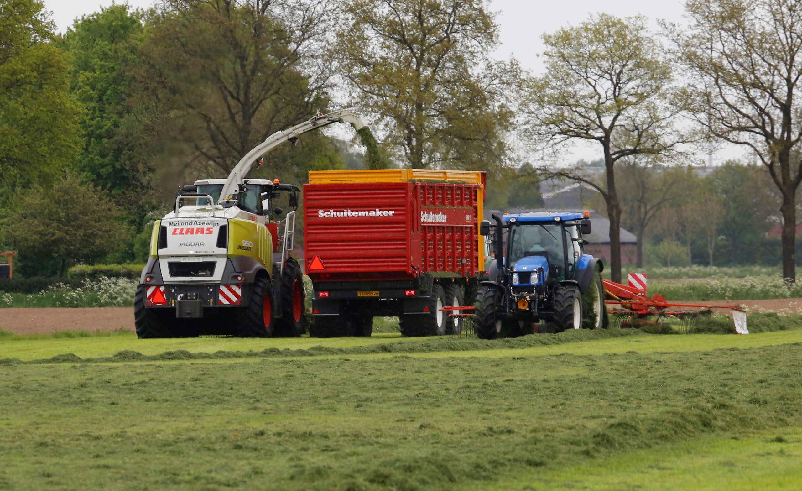 Foto: Henk Riswick