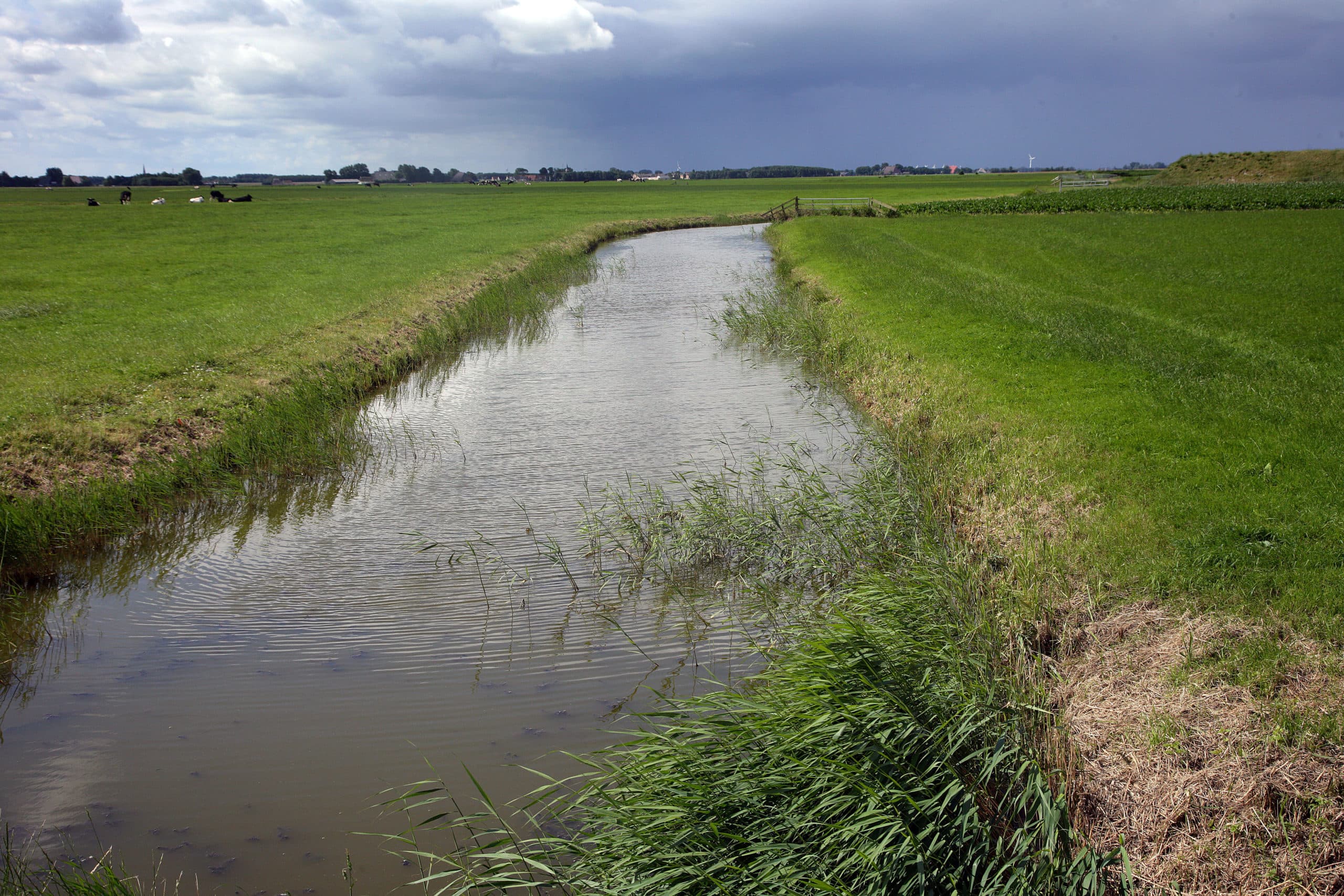 Foto: Hans Prinsen