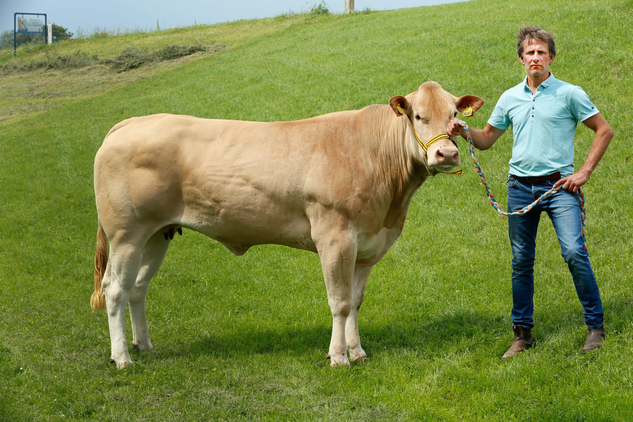 Foto's: Henk Riswick
