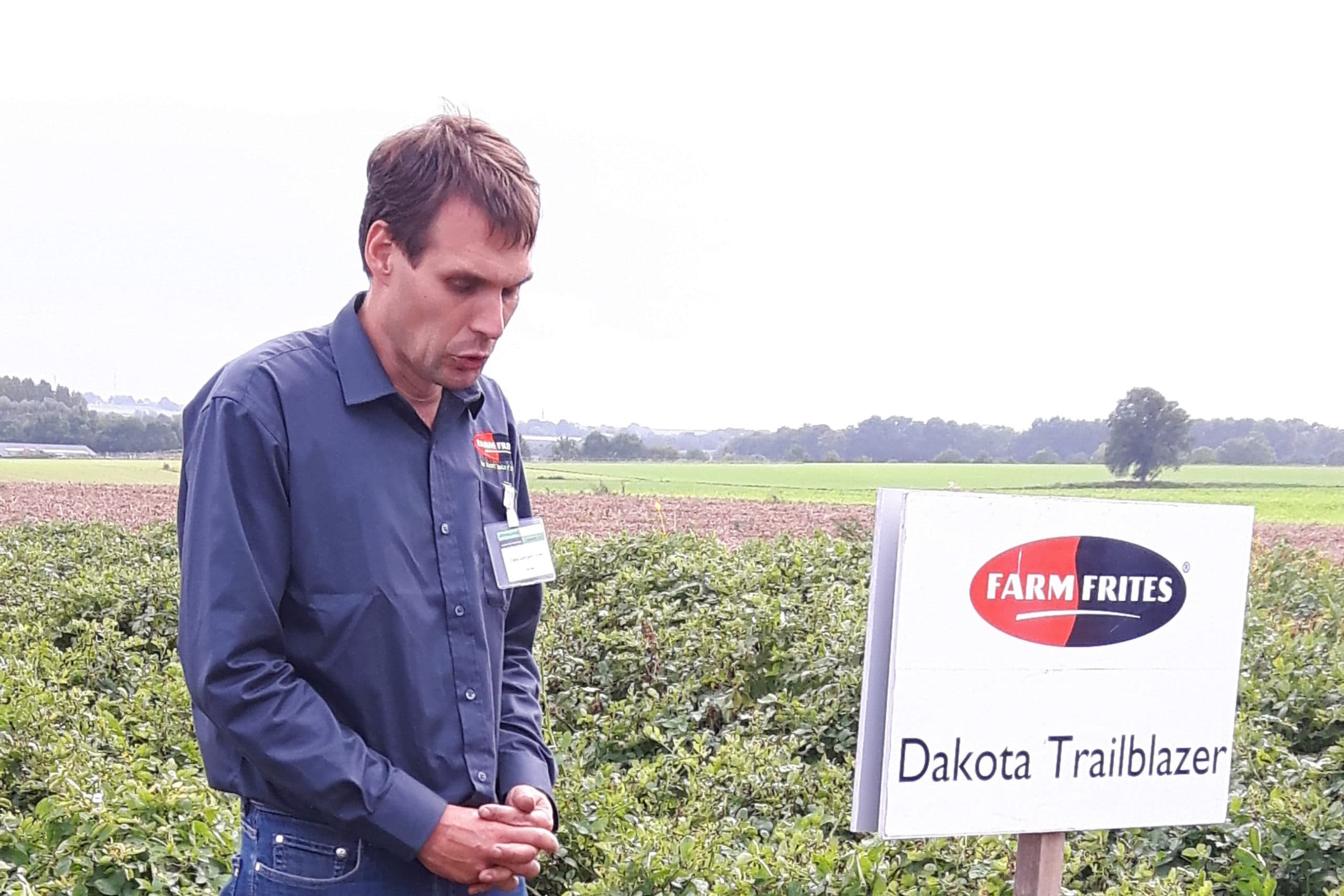 Cees van den Hoek van Farm Frites laat het ras Dakota Trailblazer zien op de akkerbouwdag in Wijnandsrade. - Foto: Guus Queisen