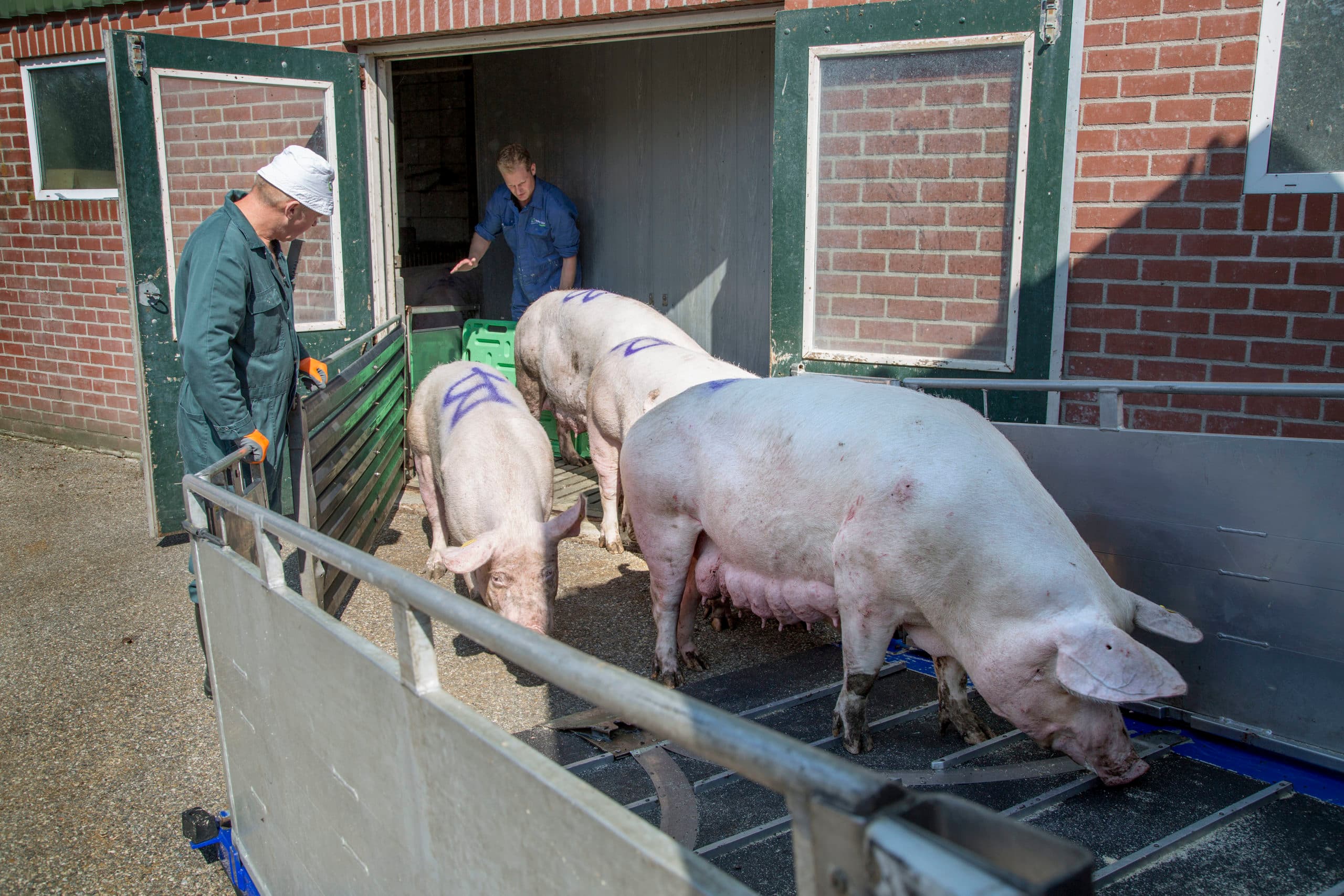 Foto: Jan Willem Schouten