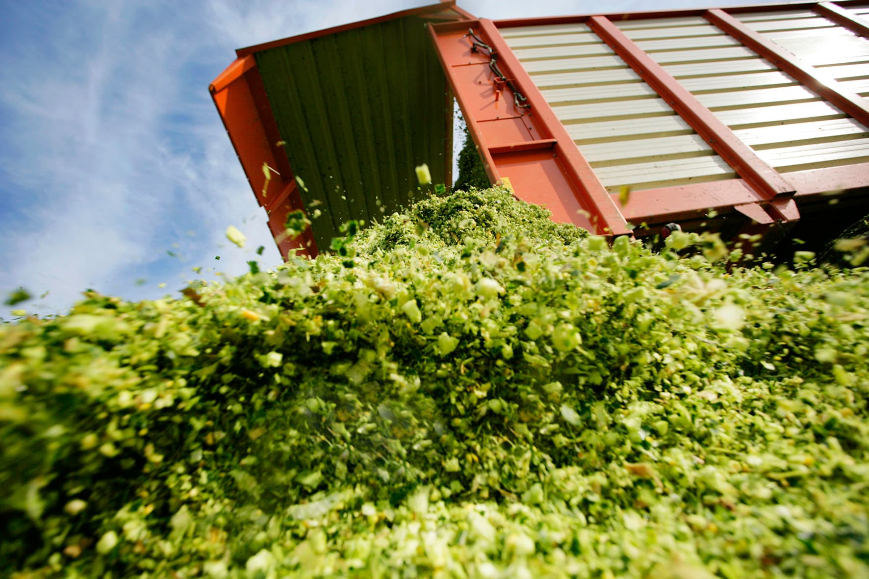 Foto: Barenbrug Holland BV