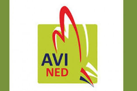 Foto: Avined