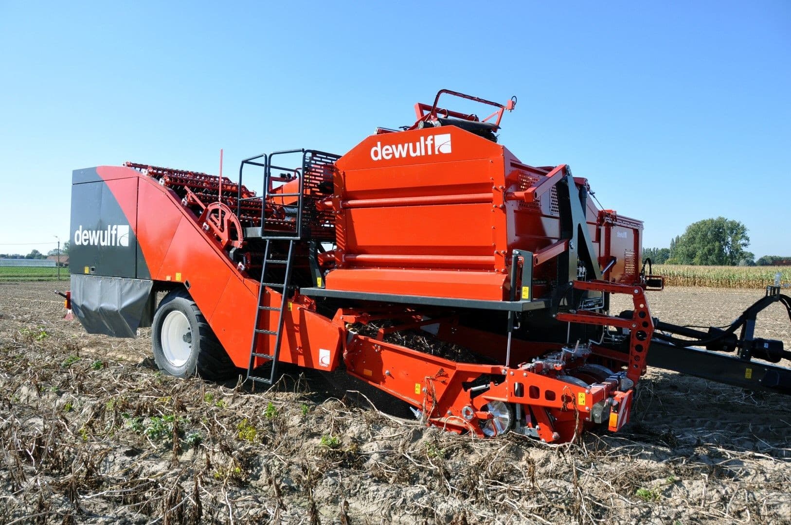 De Torro van Dewulf werkt volgens het rooiprincipe met een loofdoorvalmat en vlakke egelbanden. - Foto: Dewulf