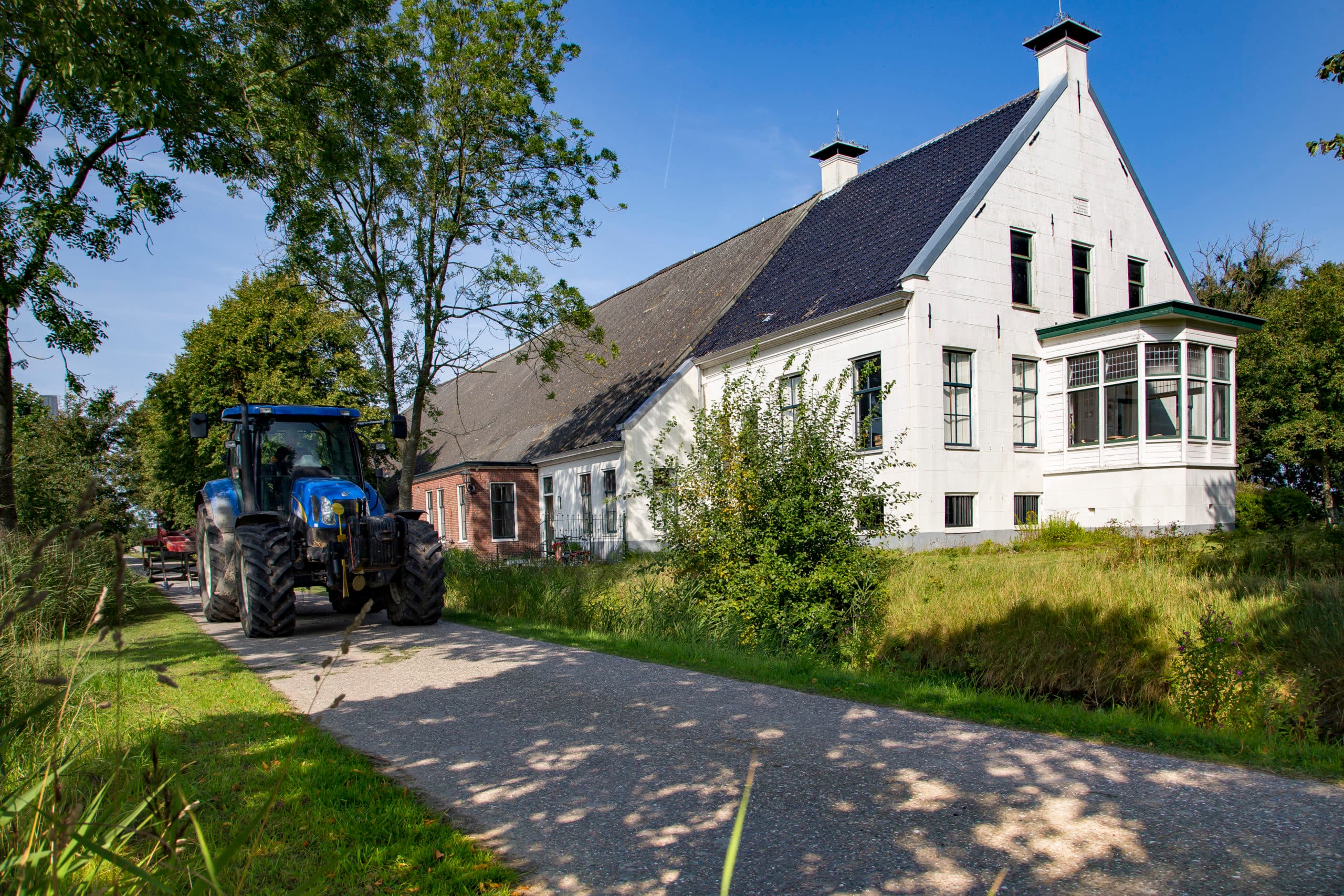 Foto: Jan Willem van Vliet