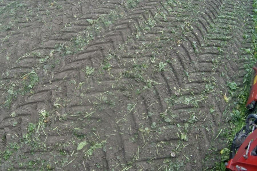 De bietenhoop is betrekkelijk dichtbij het perceel. De bieten moeten een paar dagen liggen voordat ze worden opgehaald. Er is genoeg plaats voor de 8 hectare.