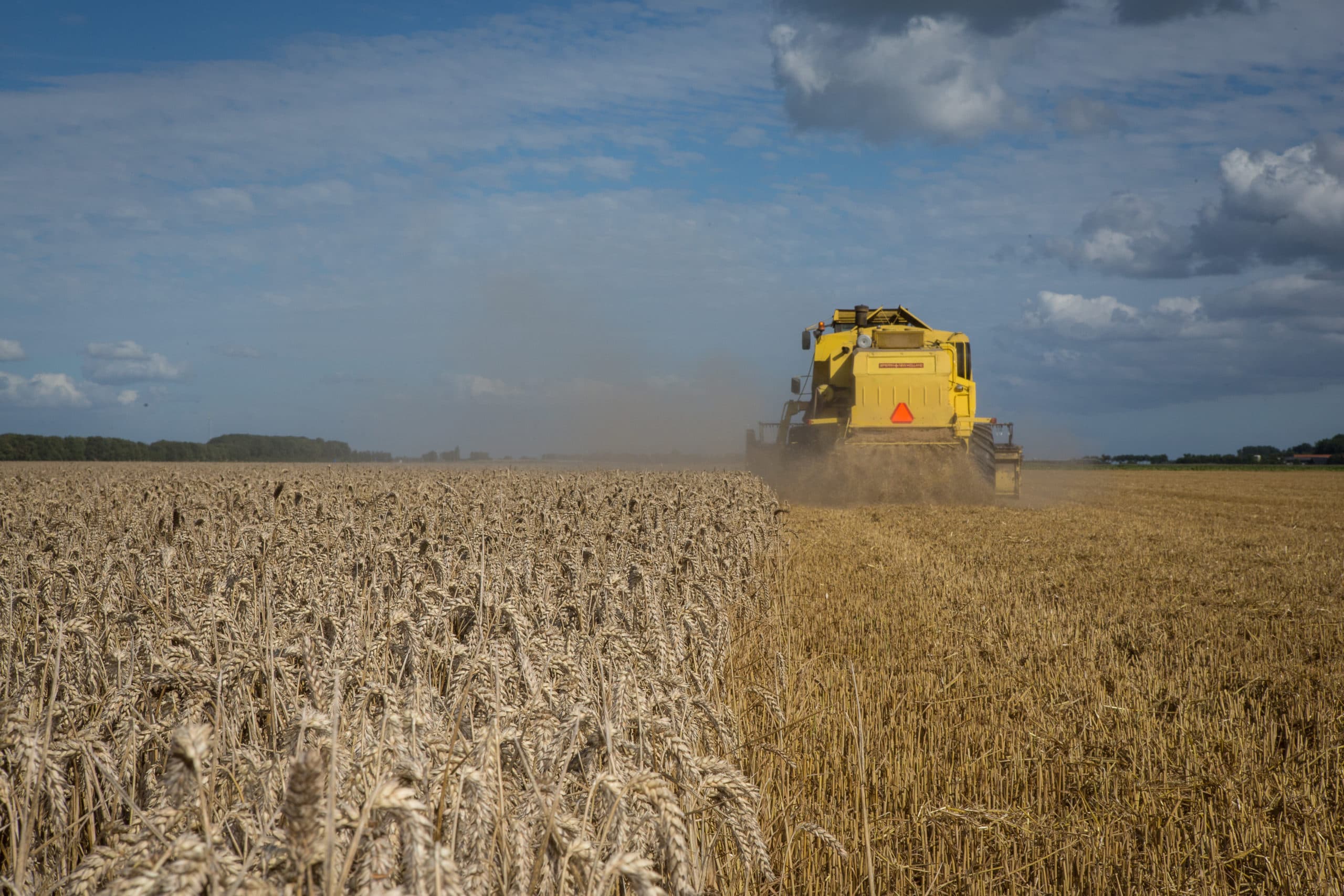 Foto: Peter Roek