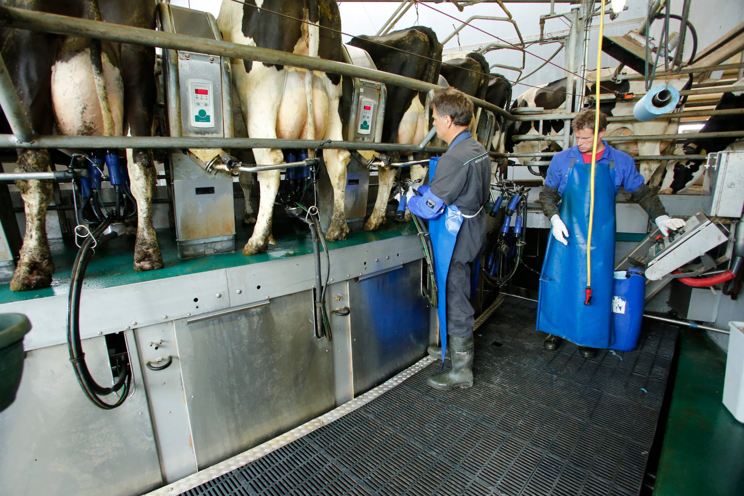 Foto: Henk Riswick