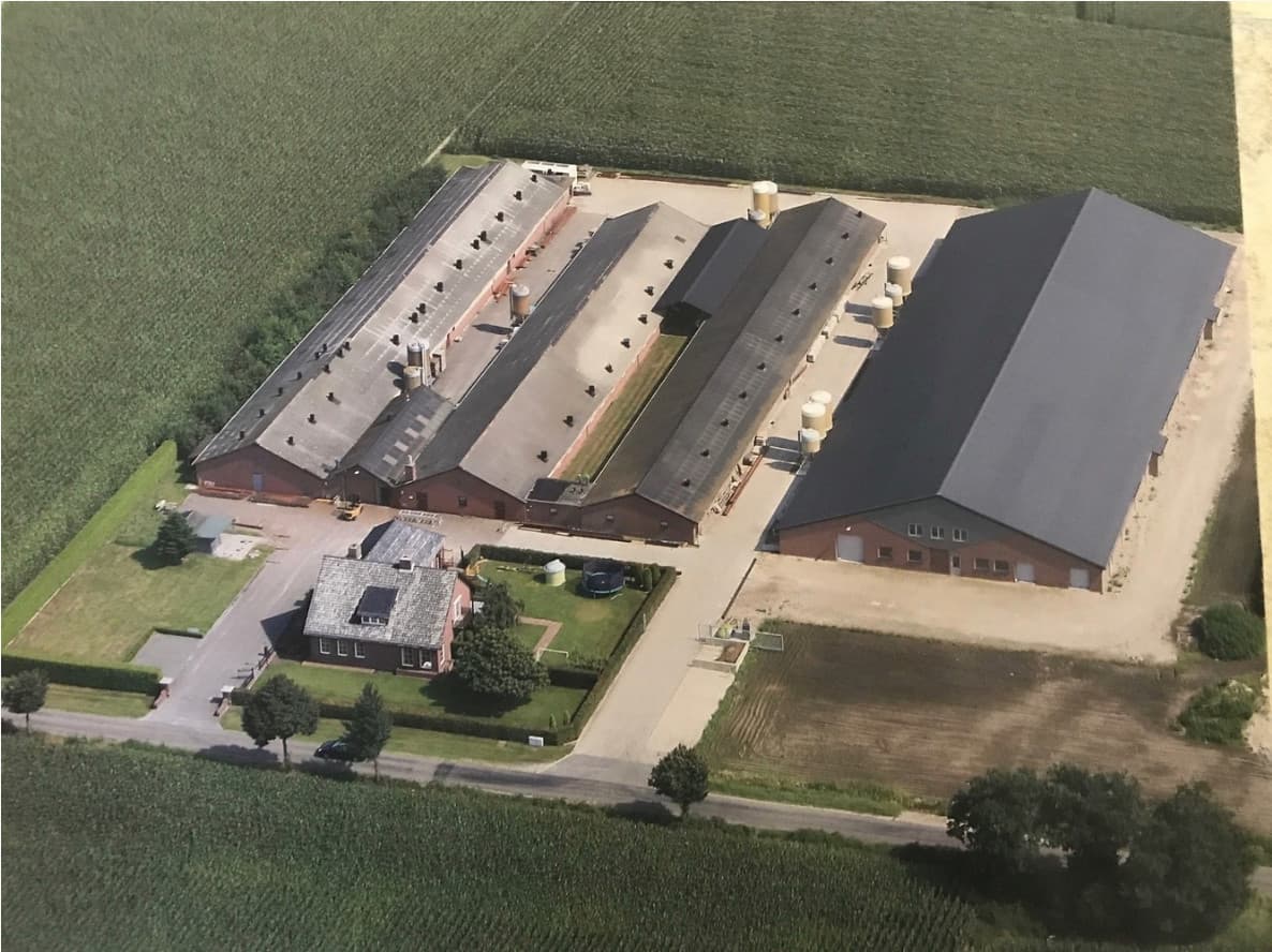 Te koop: Limburgs varkensbedrijf met groeipotentie
