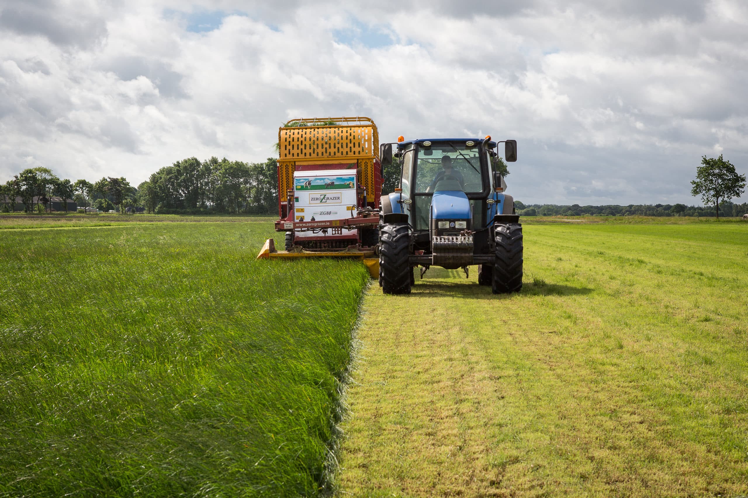 Foto: Peter Roek
