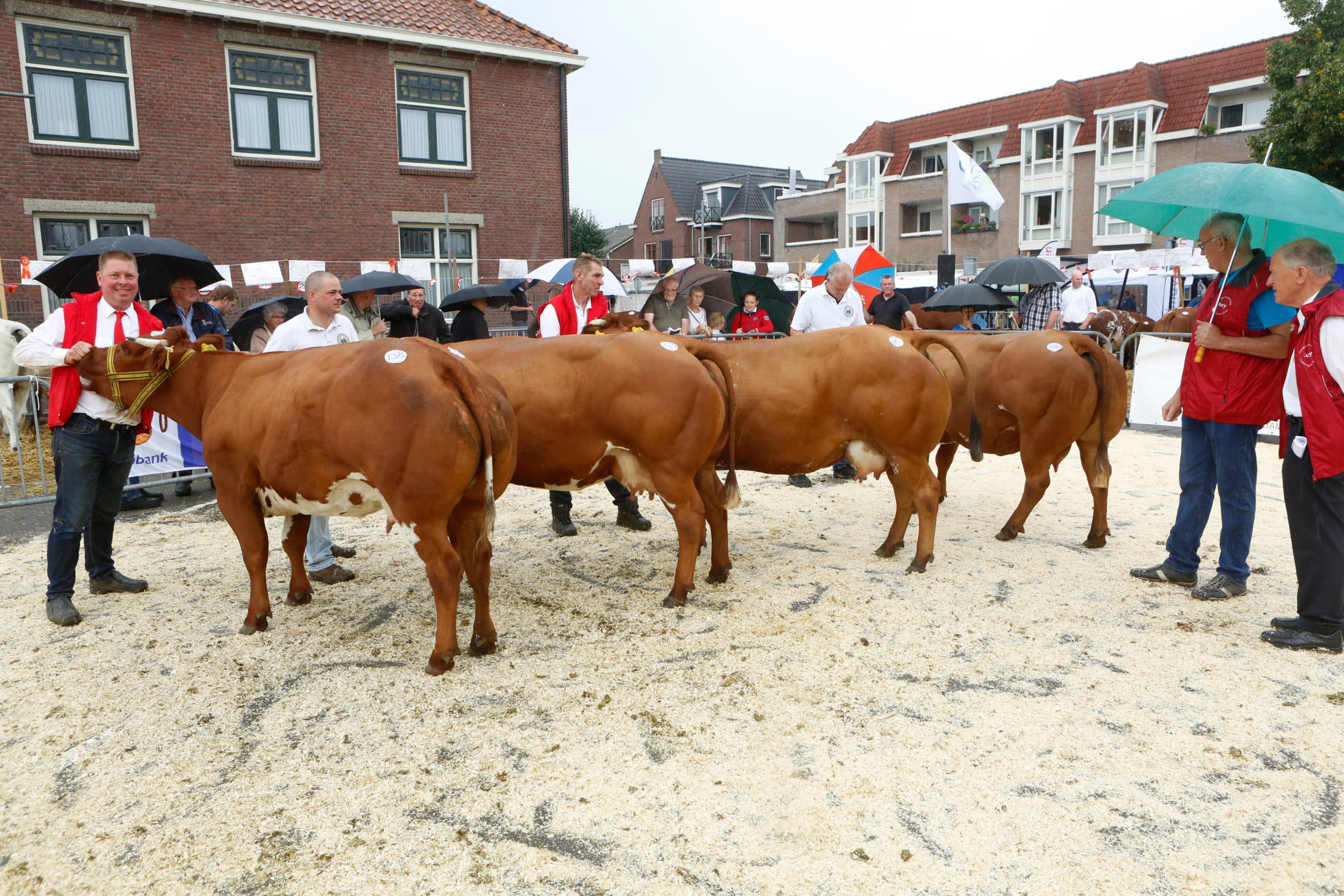 Foto: Henk Riswick