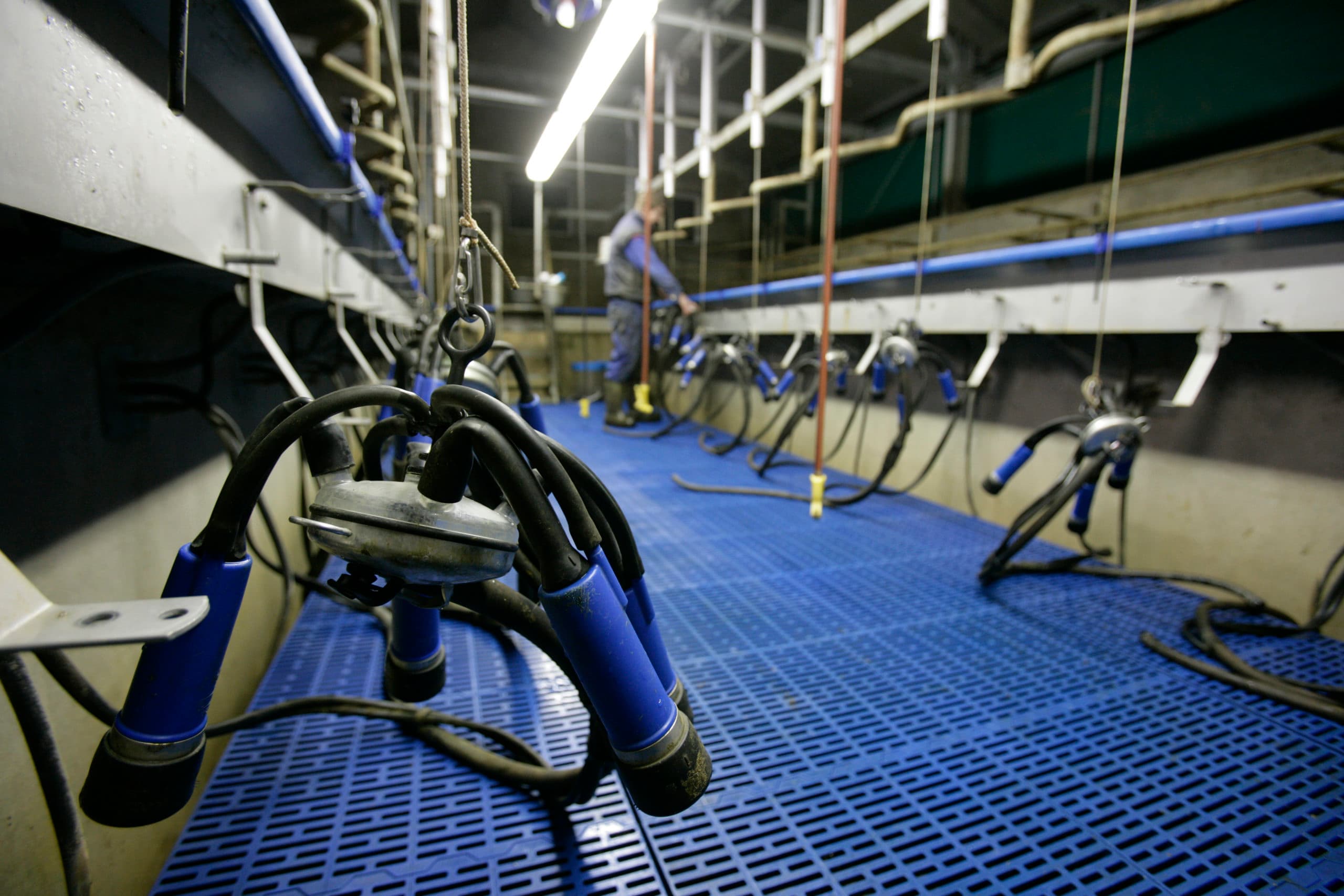 Foto: Jan Willem Schouten