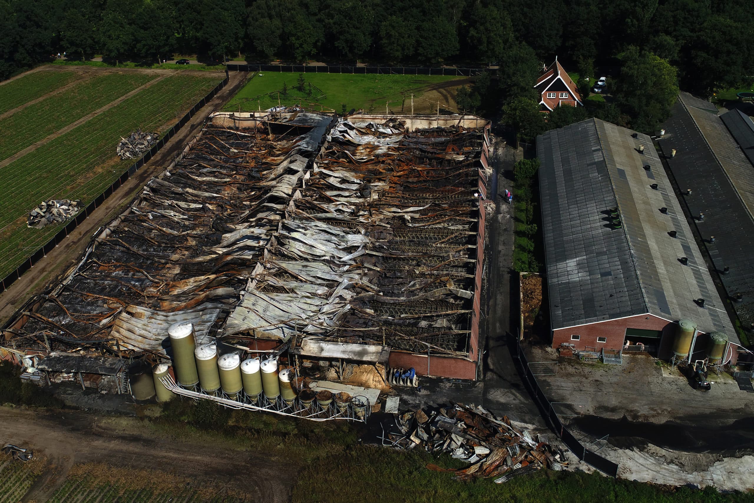 Schade na grote brand op een varkensfokkerij in Agelo - Foto: ANP