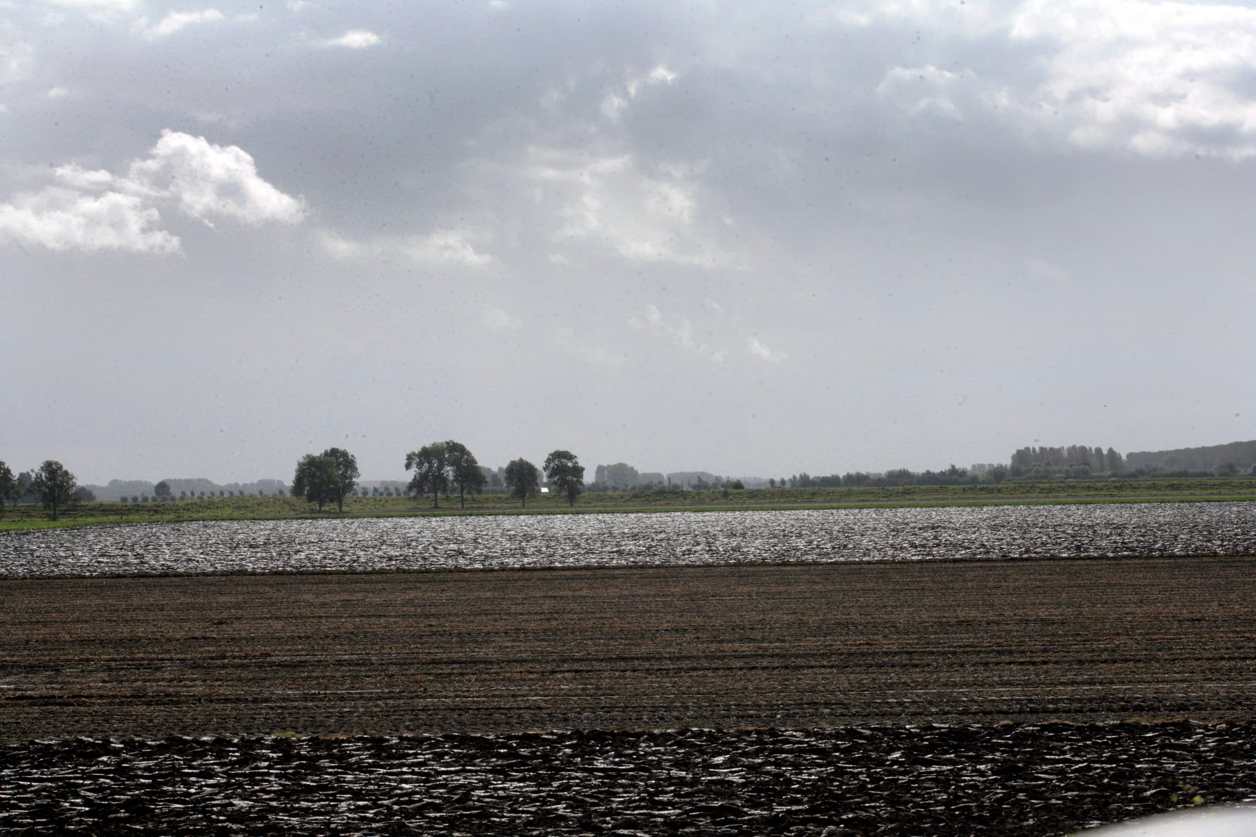 Foto: Henk Riswick
