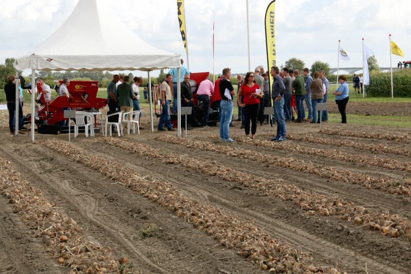 Overzicht van een demo met precisieplanten van plantuien. - Foto's: Anton Dingemanse