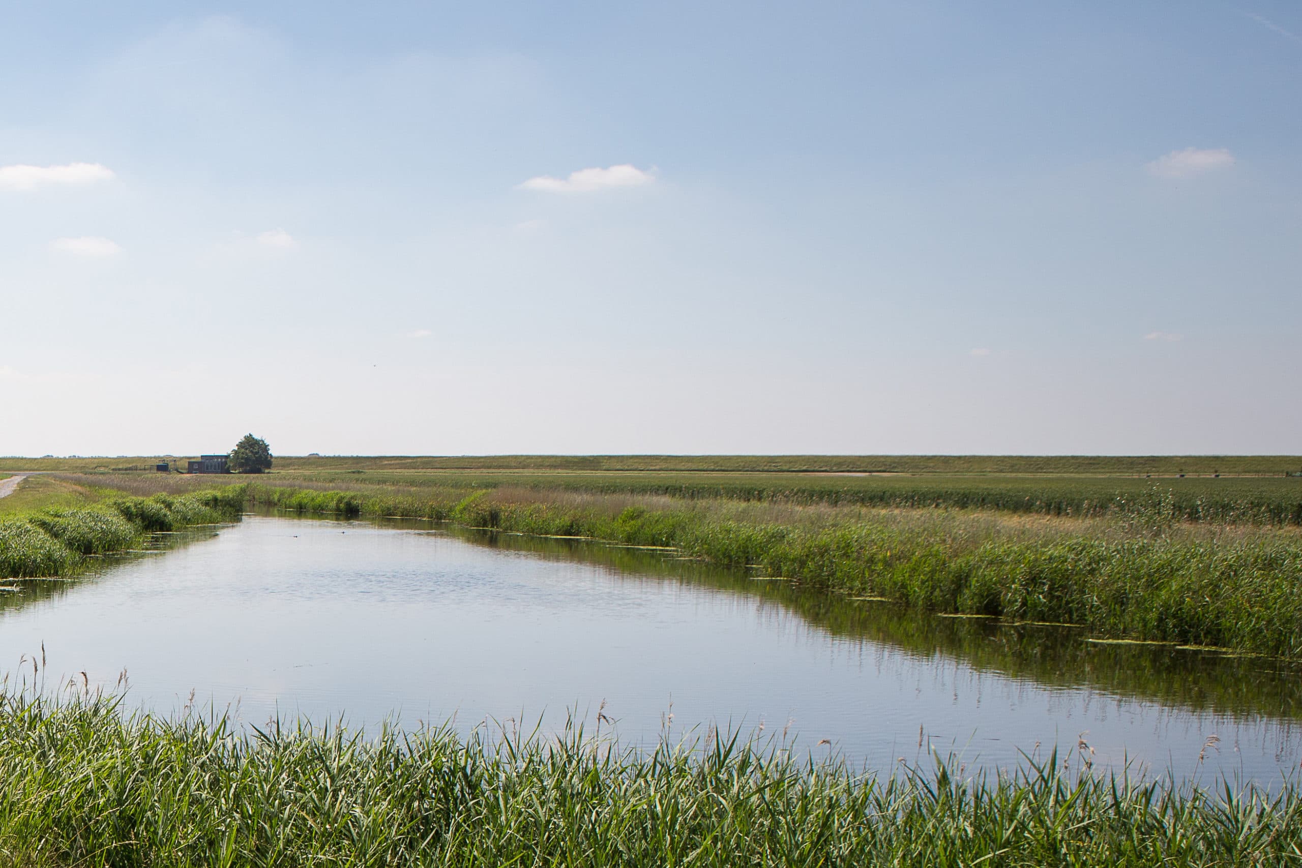 Foto: Peter Roek