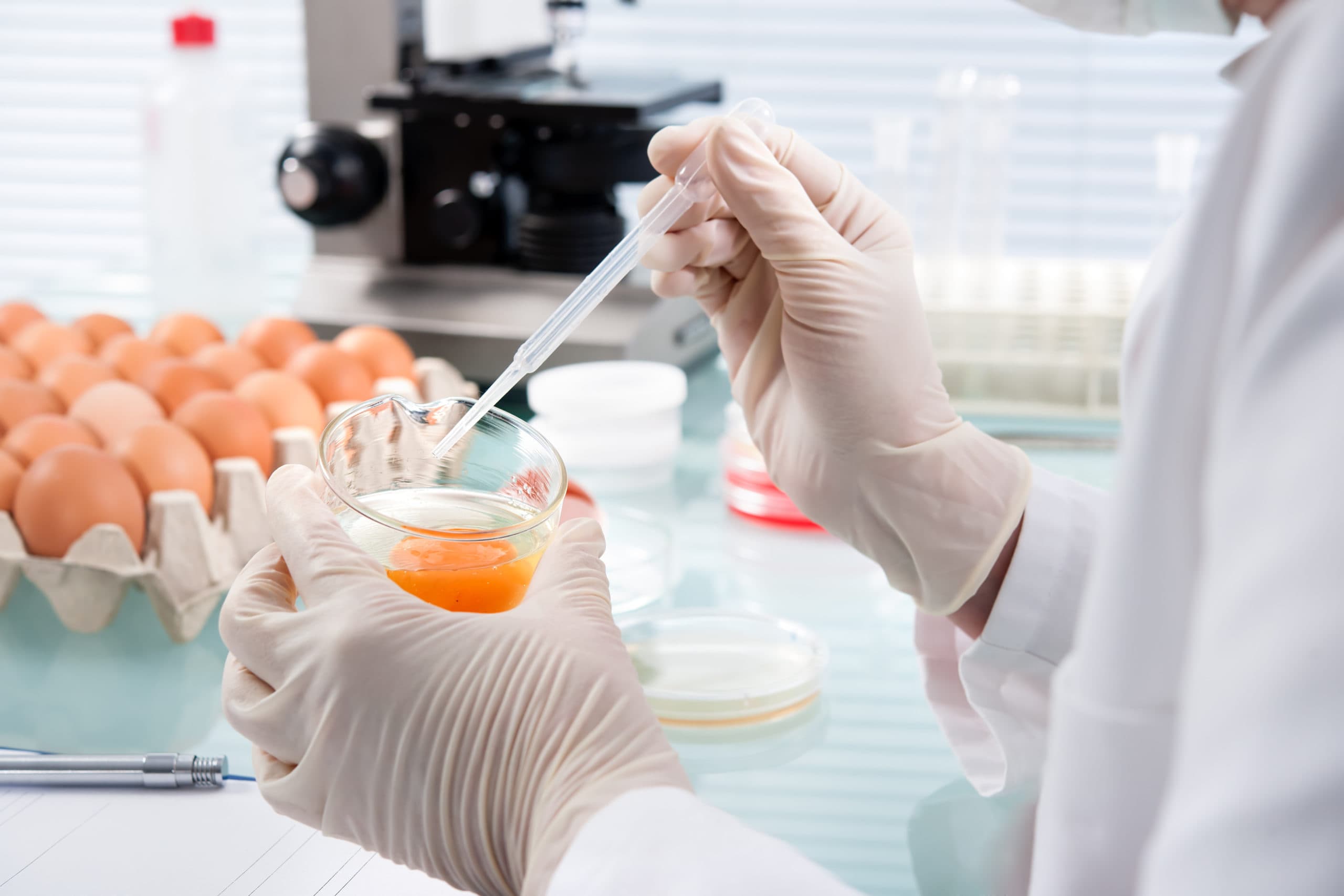Laborant doet onderzoek naar kippeneieren (archiefbeeld). - Foto: Shutterstock