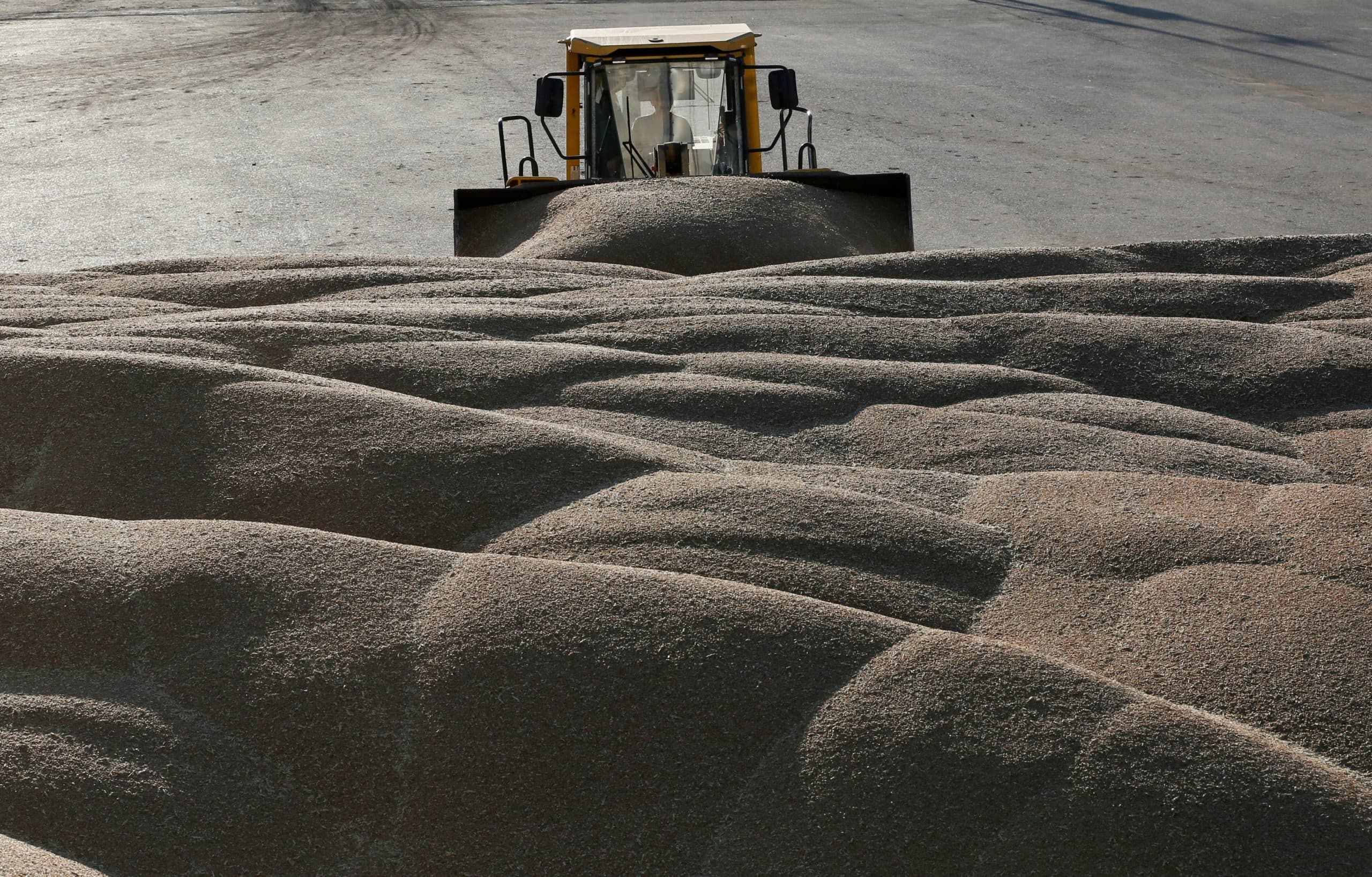 Foto: Reuters