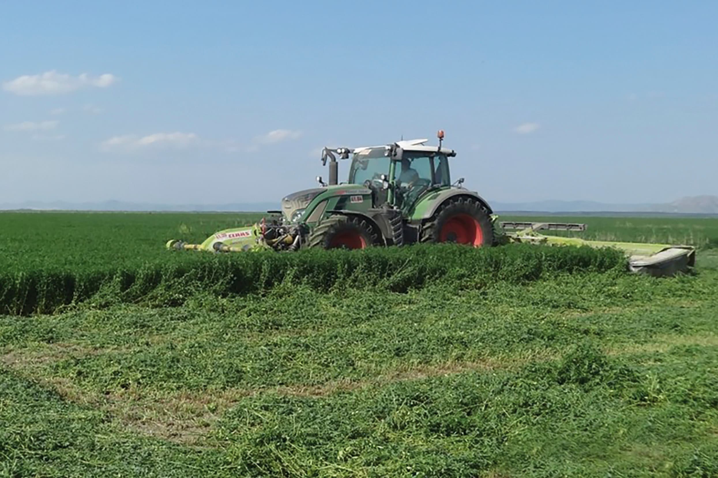 Foto: Agricost