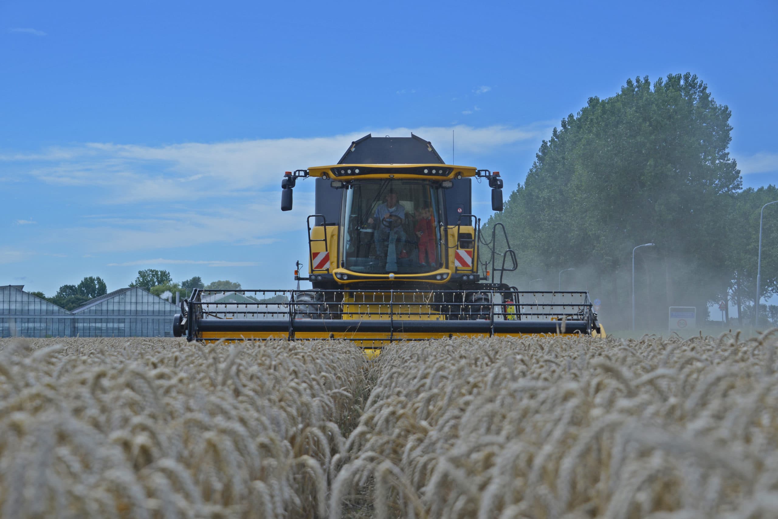 Foto: Sytze Bakker