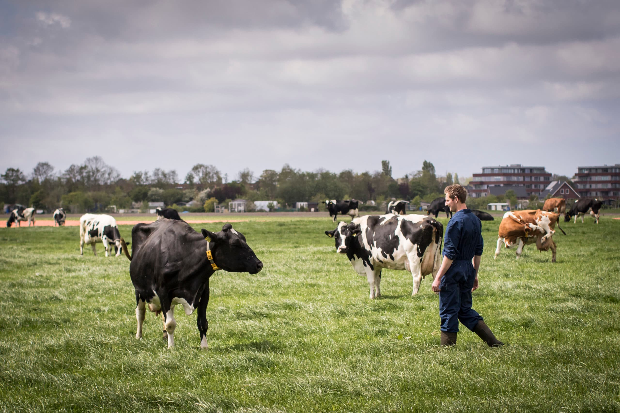 Foto: Bertil van Beek
