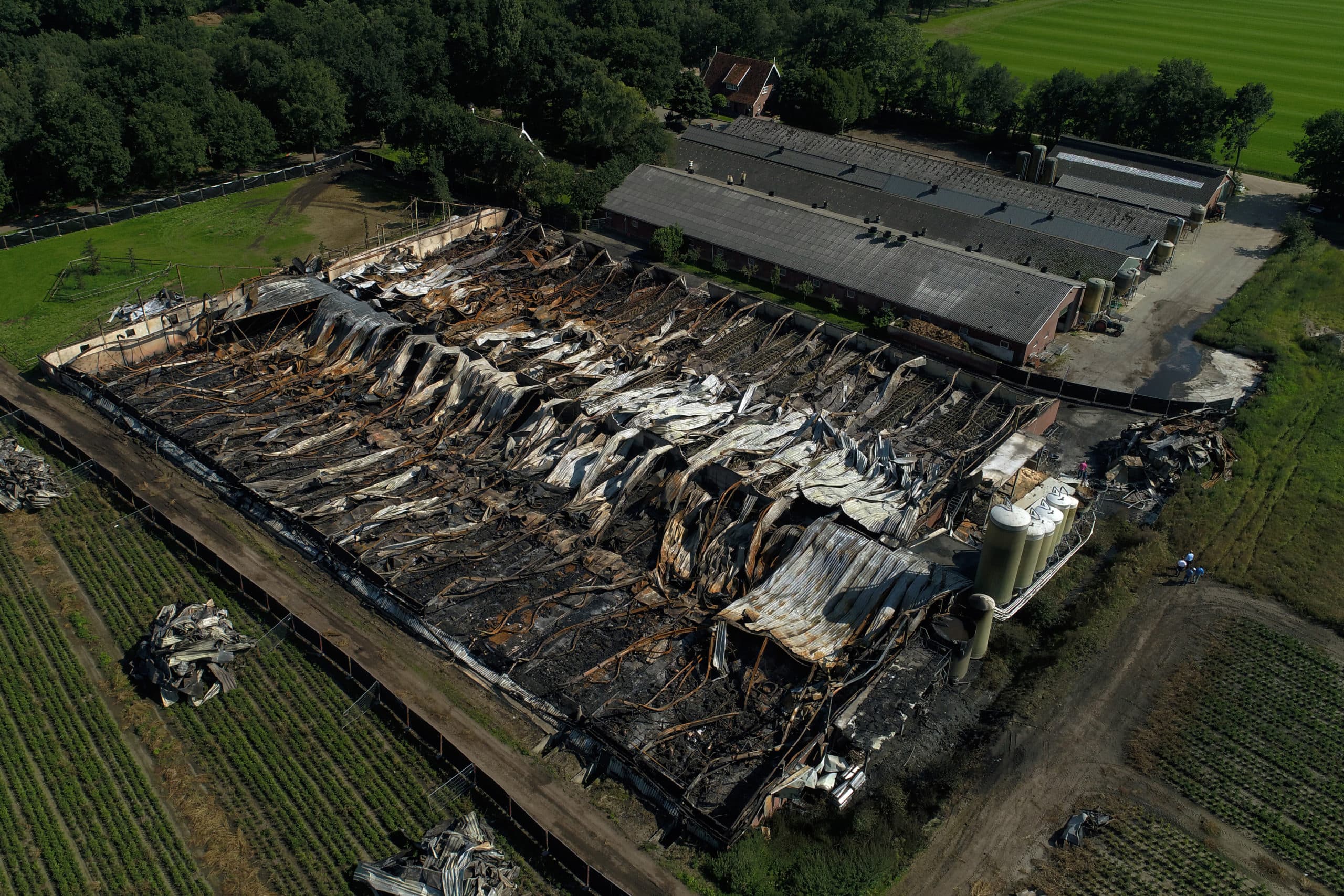 Schade na de grote brand op varkensfokkerij in Agelo - Foto: ANP