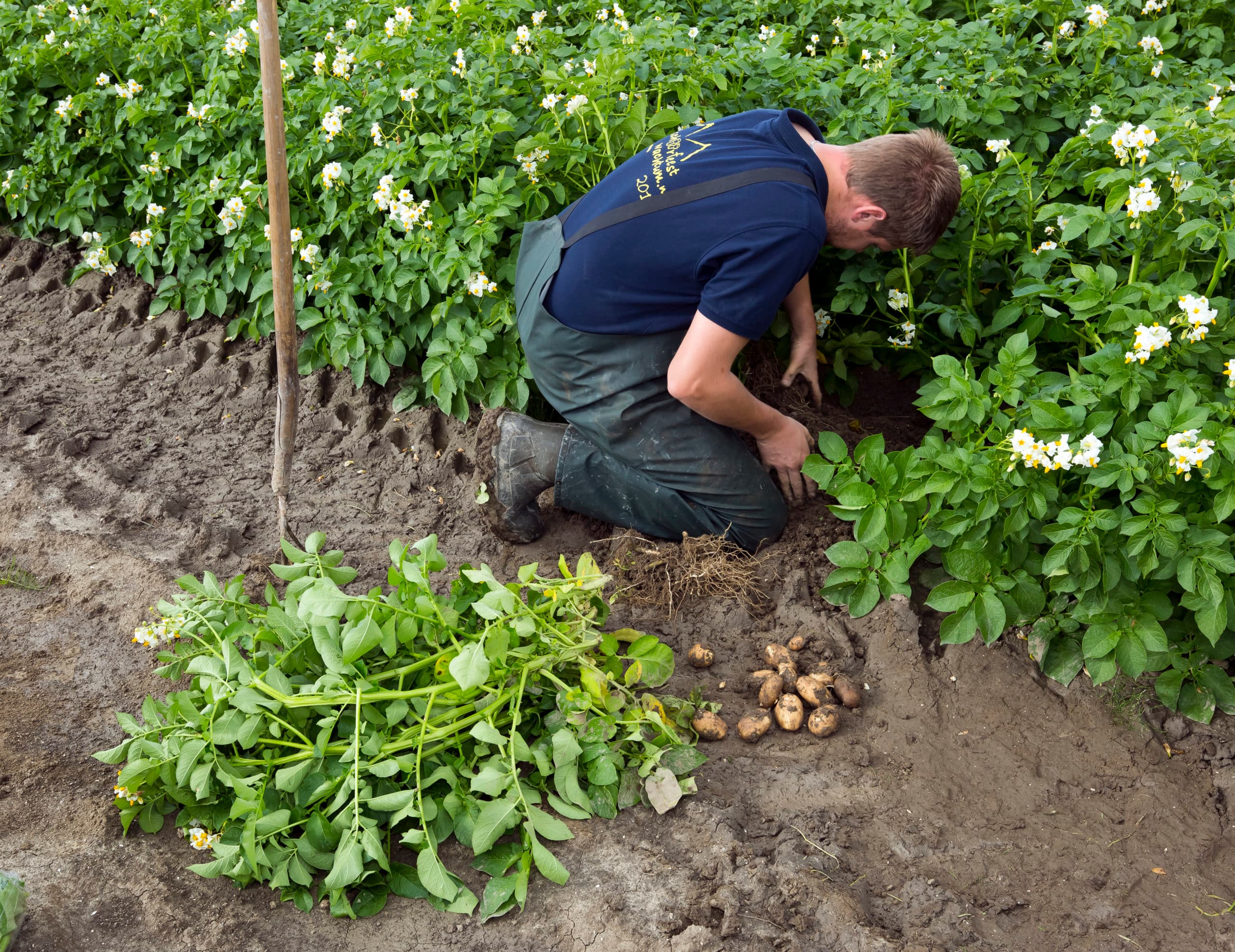 Foto: Ruud Ploeg