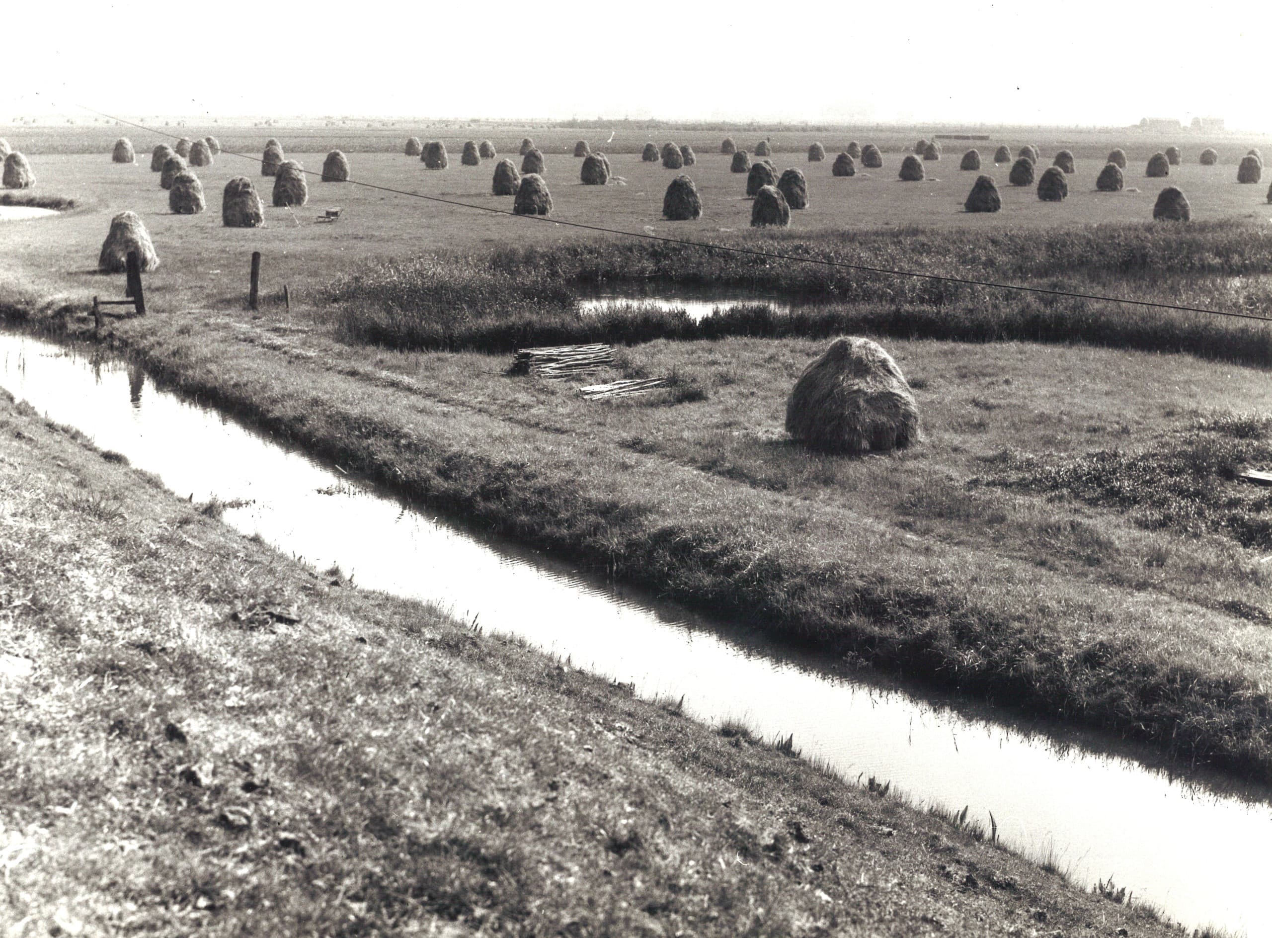 Een ruiter moest steil staan, met de poten maximaal een meter uit elkaar. Dat voorkwam inregenen, bovendien kon er dan niet al te veel gras op.