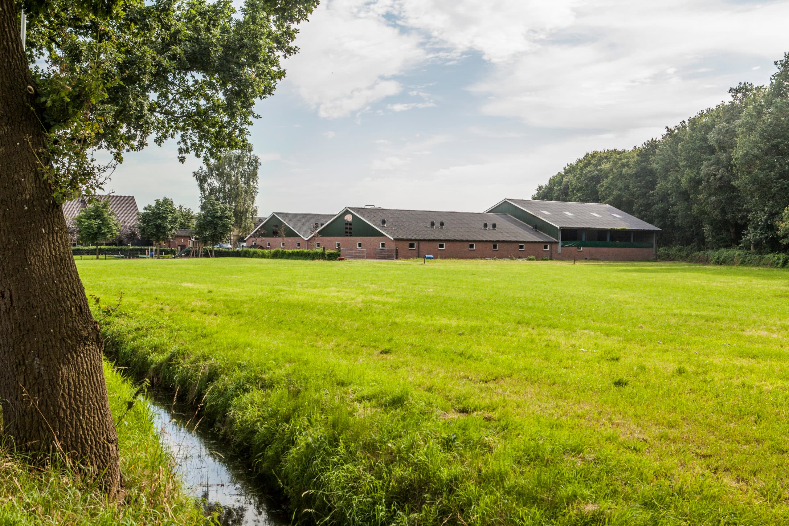 Foto: Koos Groenewold
