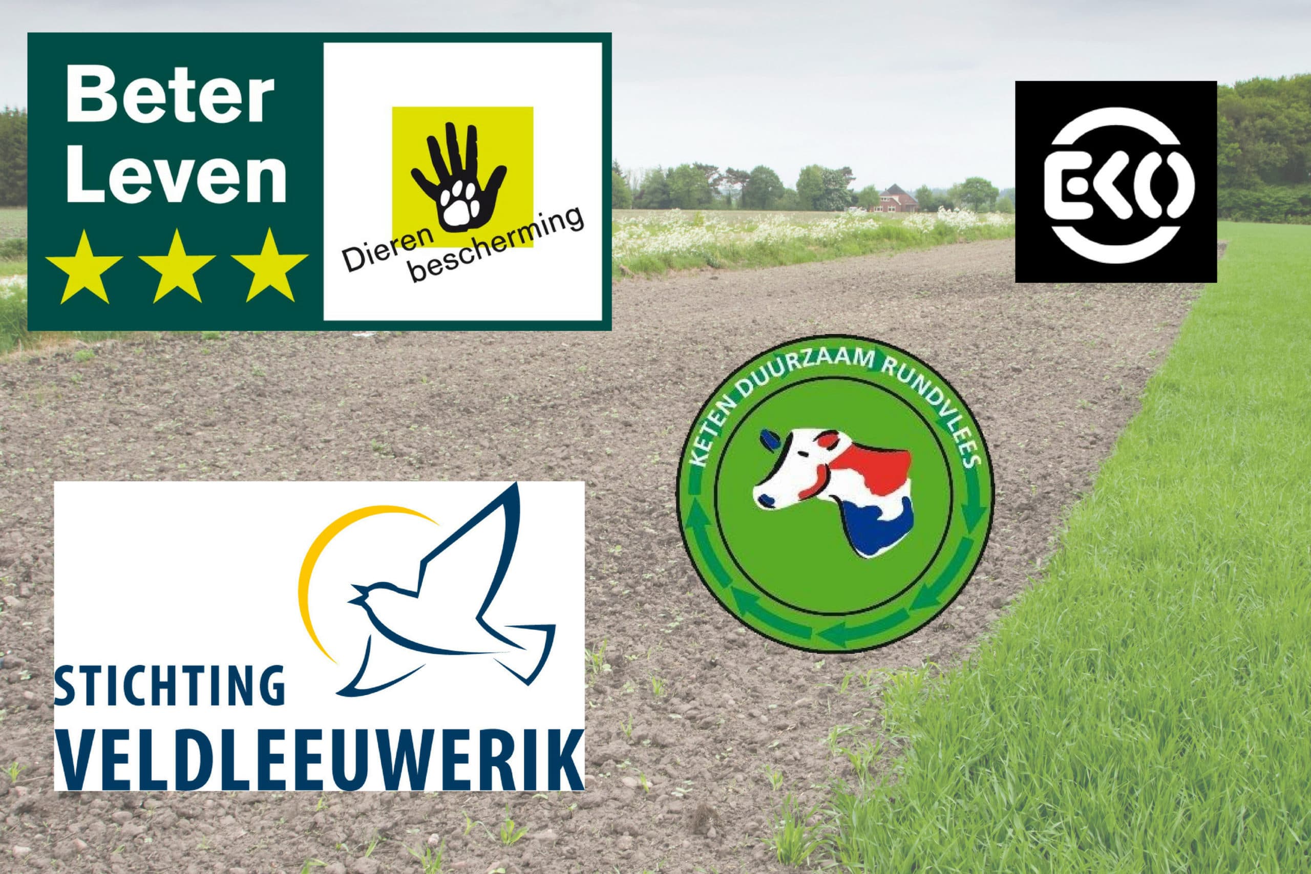 Foto: Jan Willem van Vliet, logo's: desbetreffende organisaties