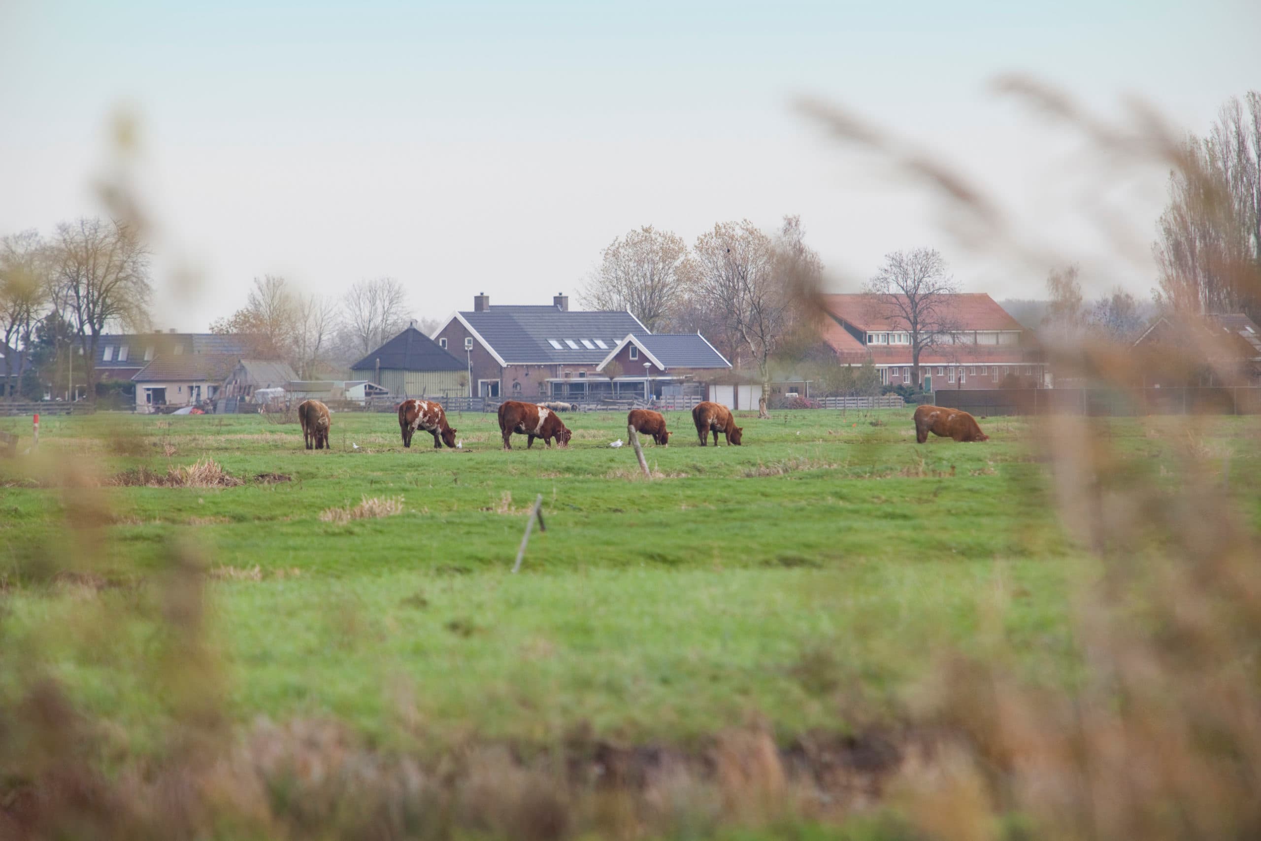 Foto: Jan Willem Schouten