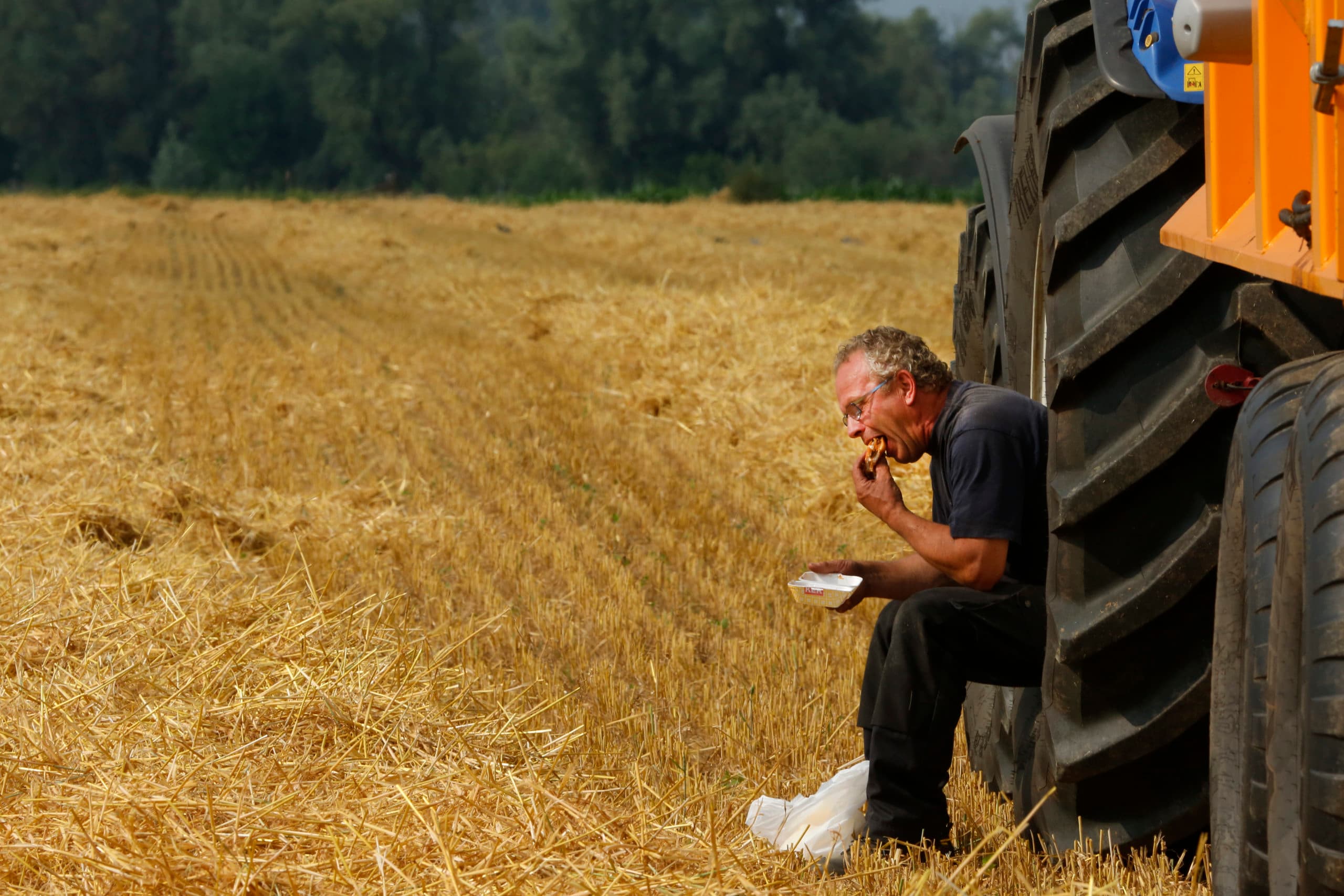 Wachten tijdens gerstoogst bij Lobith (Gld.). Graan is een bedrijfszeker gewas, maar andere teelten zijn dat inmiddels ook, betoogt columnist Jacco van der Wekken. - Foto: Henk Riswick