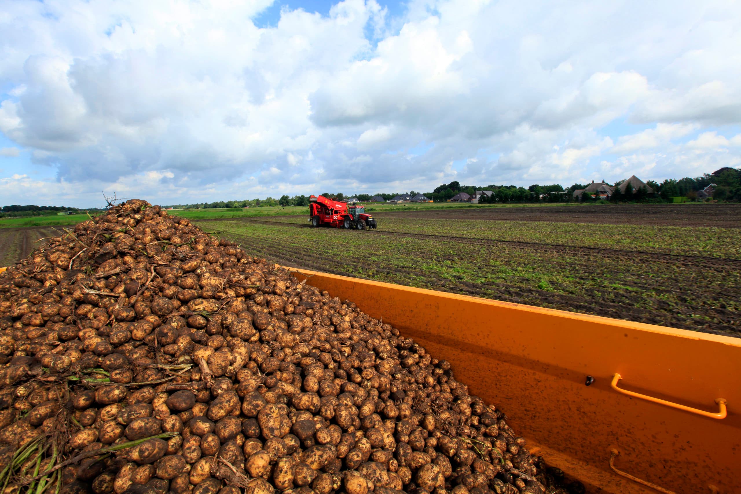 Foto: Henk Riswick