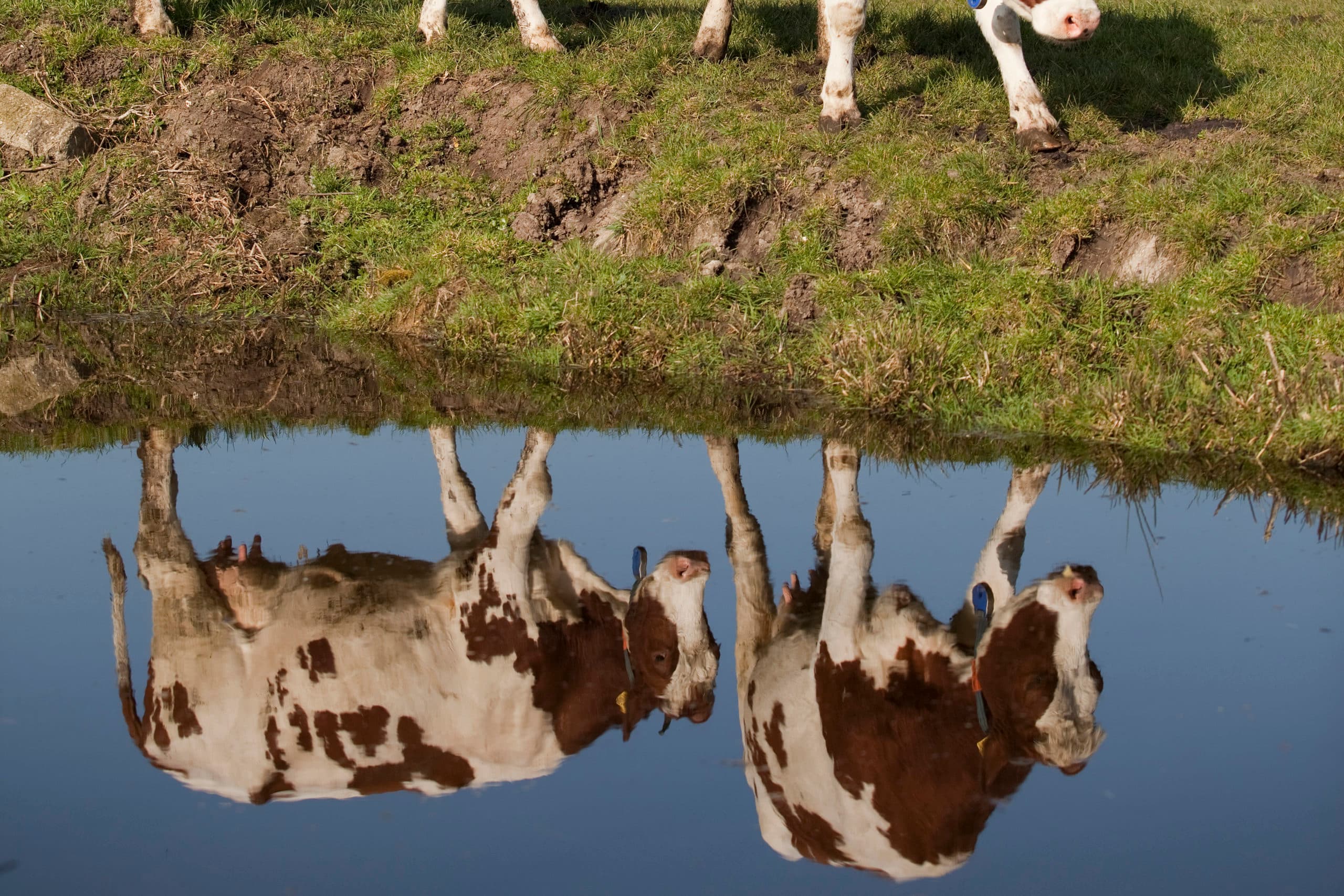 Foto: Jan Willem Schouten