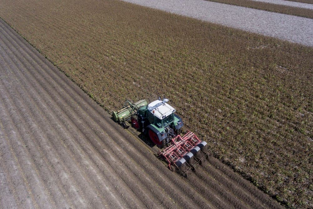Hoewel het hier het vroege ras Ambra   klasse E en SE   betreft, is het vroeg in het seizoen voor deze handelingen. Het tal lijkt heel netjes. De Rijke beregende zijn pootaardappelen twee keer. Hij teelt 54 hectare pootgoed.  Deze week volgen zeker meer percelen.