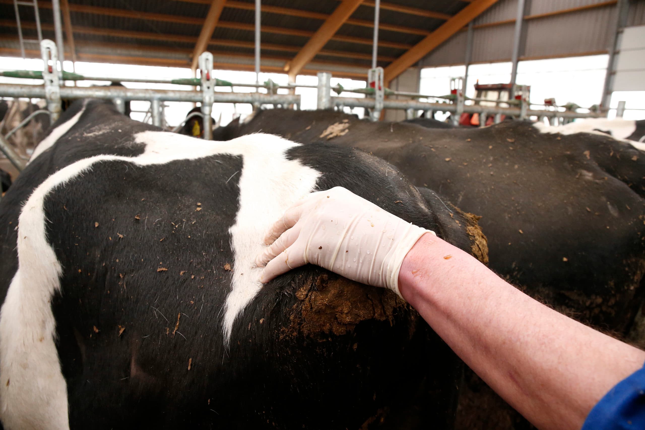 Foto: Hans Prinsen
