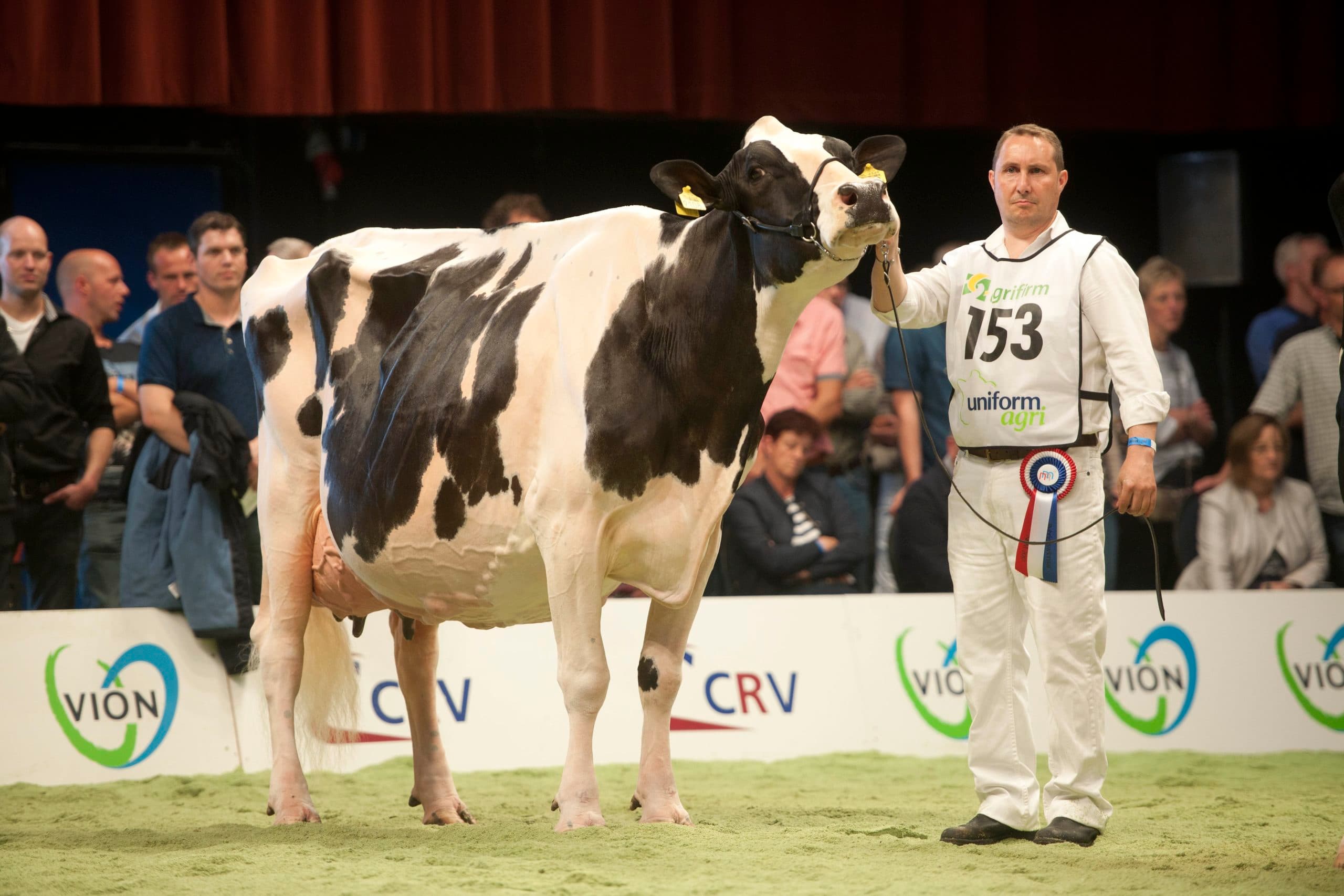 De algemeen kampioen zwartbont: Bons Holsteins Ella 158. Foto Mark Pasveer