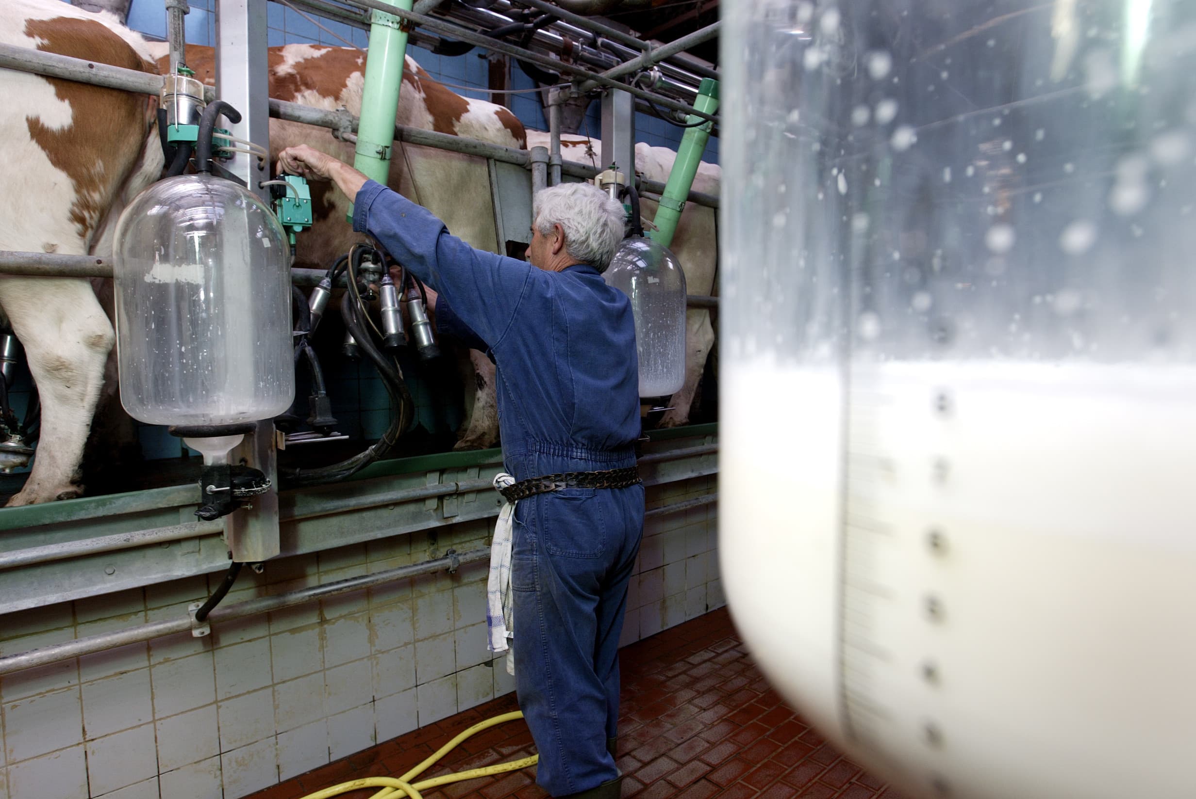 Melkglas. Hochwald verhoogt haar melkprijs. - Foto: Hans Prinsen