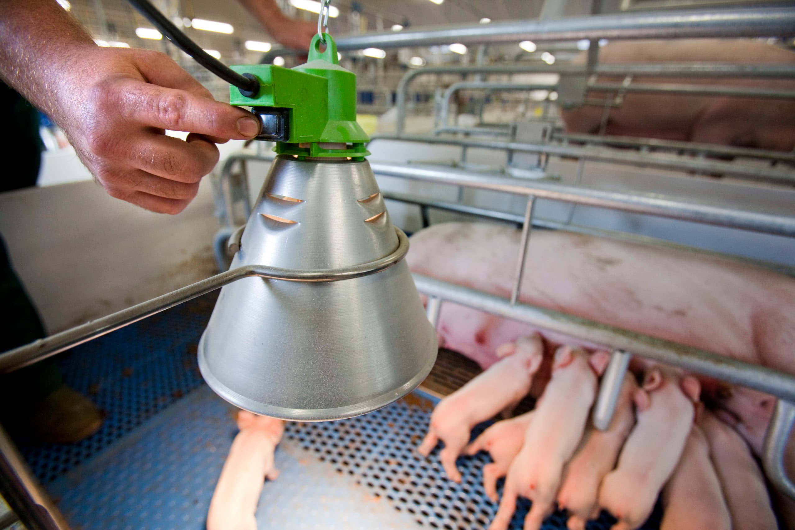 Foto: Jan Willem Schouten