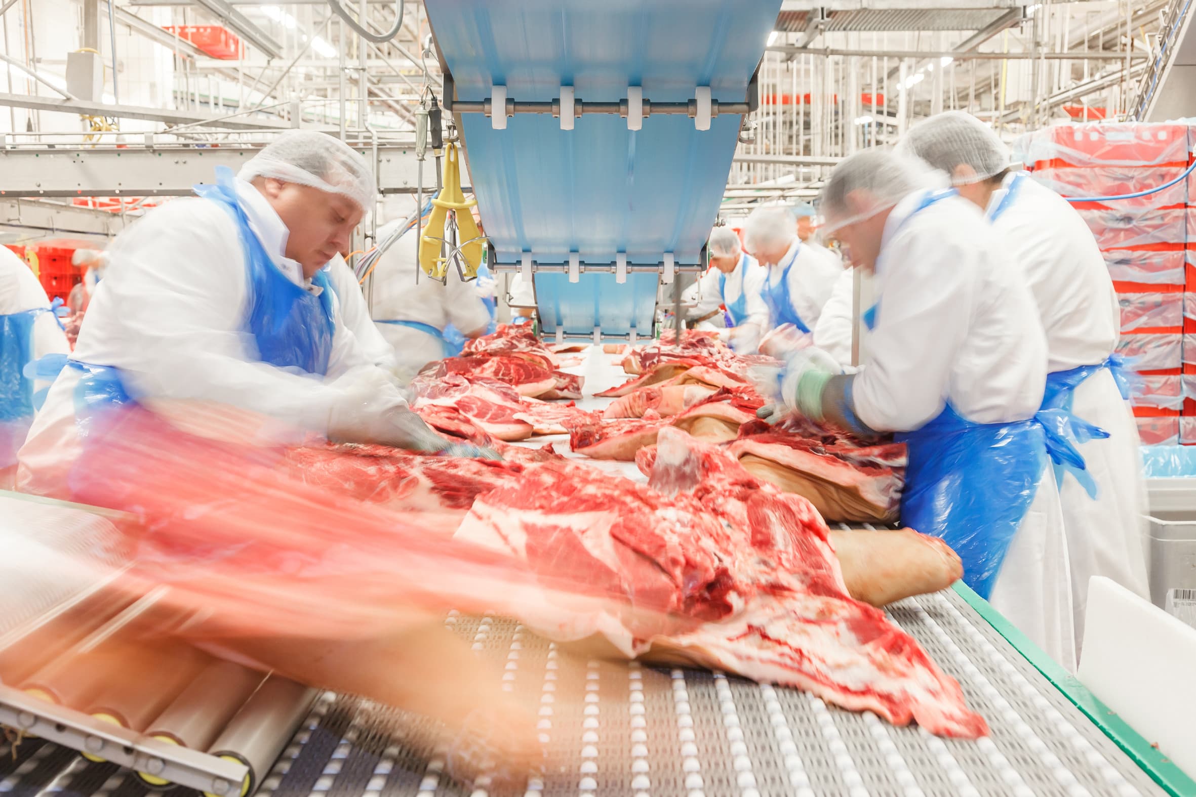 Foto: Tönnies Fleisch